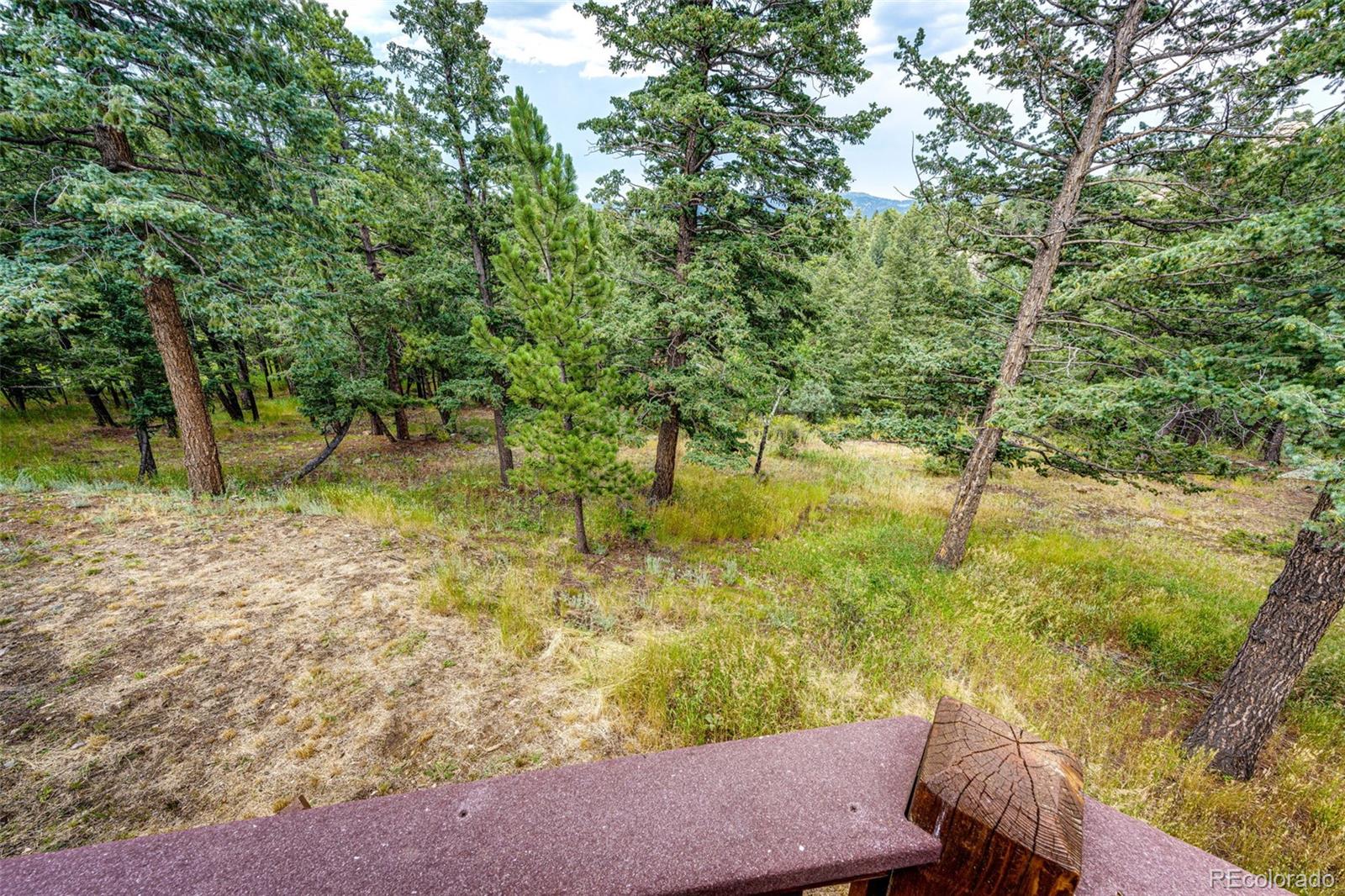 MLS Image #13 for 3876  ridge road,evergreen, Colorado