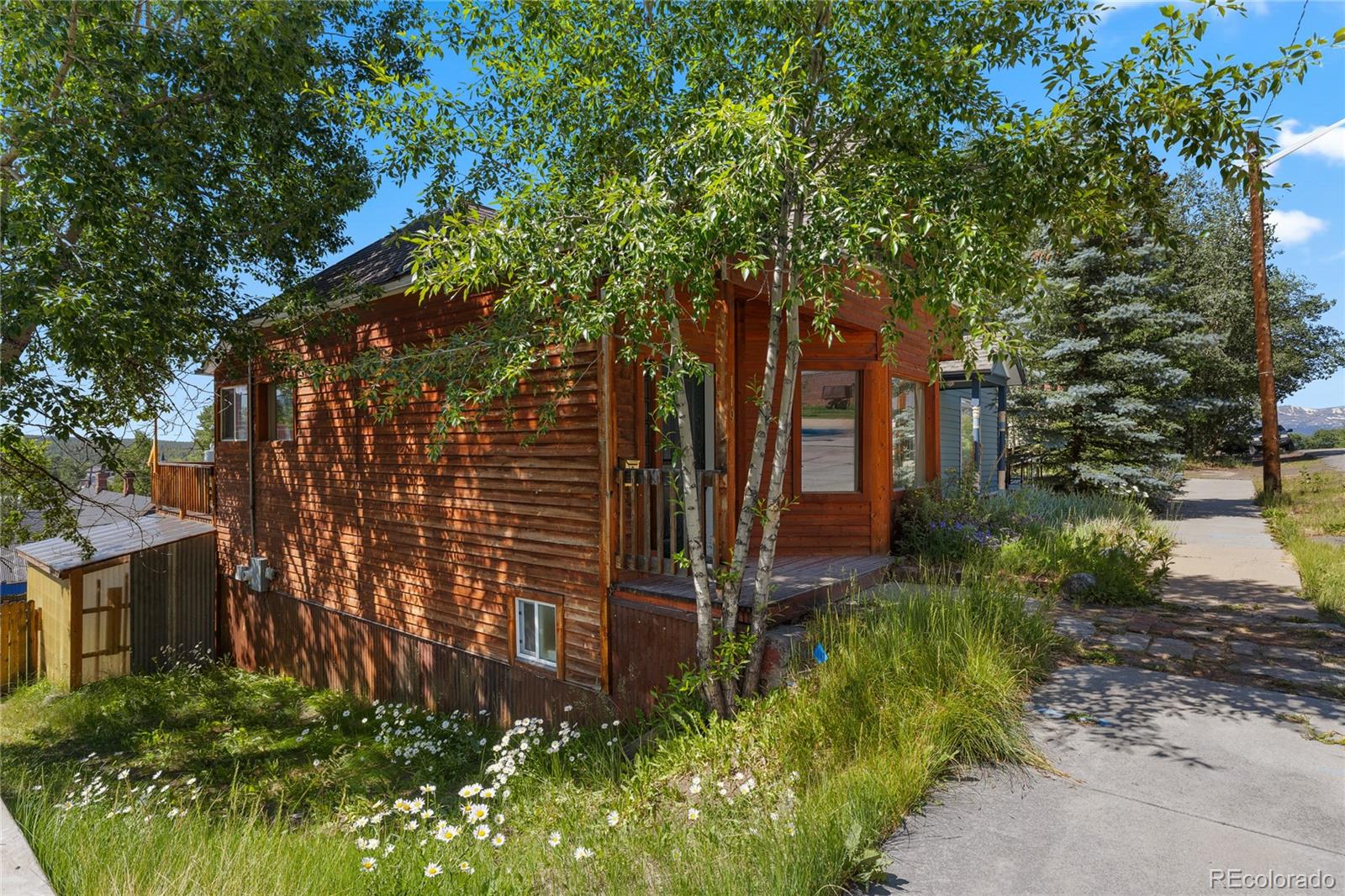 MLS Image #30 for 119 w 9th street,leadville, Colorado