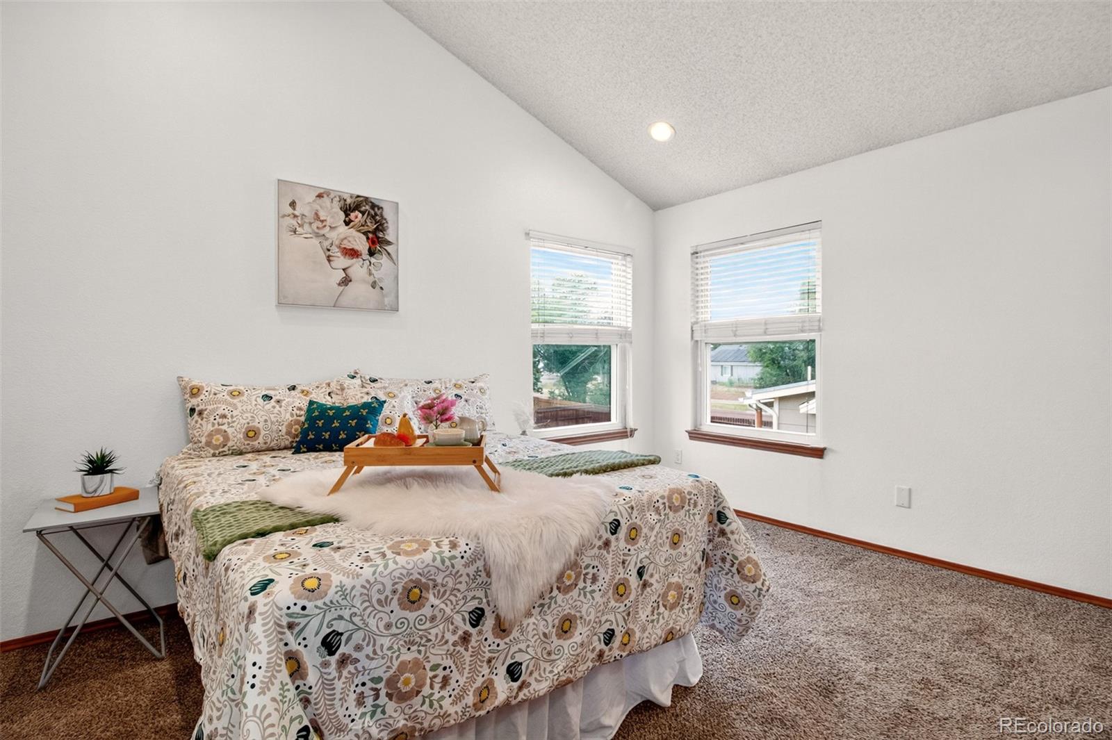 MLS Image #13 for 260  wallace street,colorado springs, Colorado