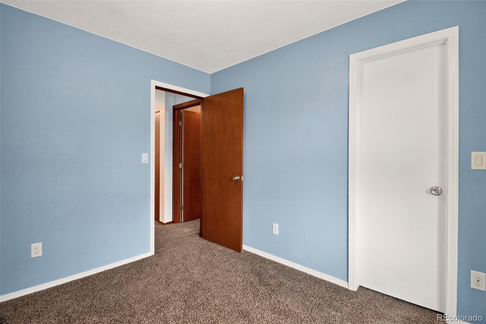 MLS Image #20 for 260  wallace street,colorado springs, Colorado