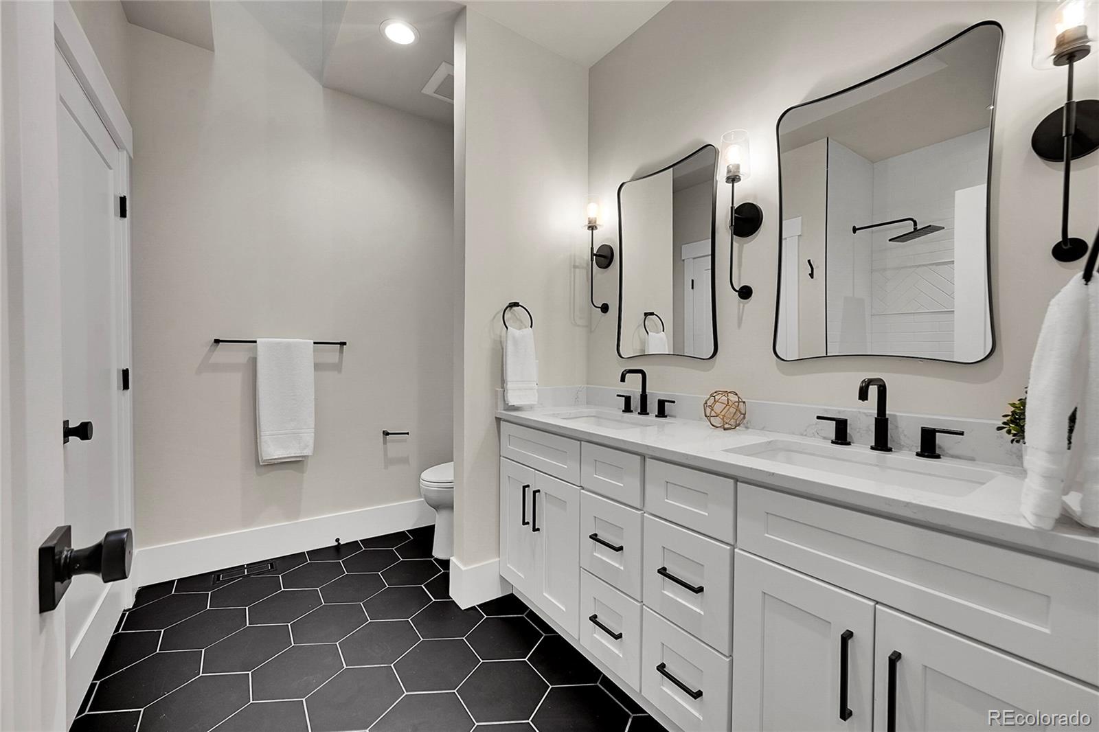 MLS Image #24 for 4  village court,littleton, Colorado