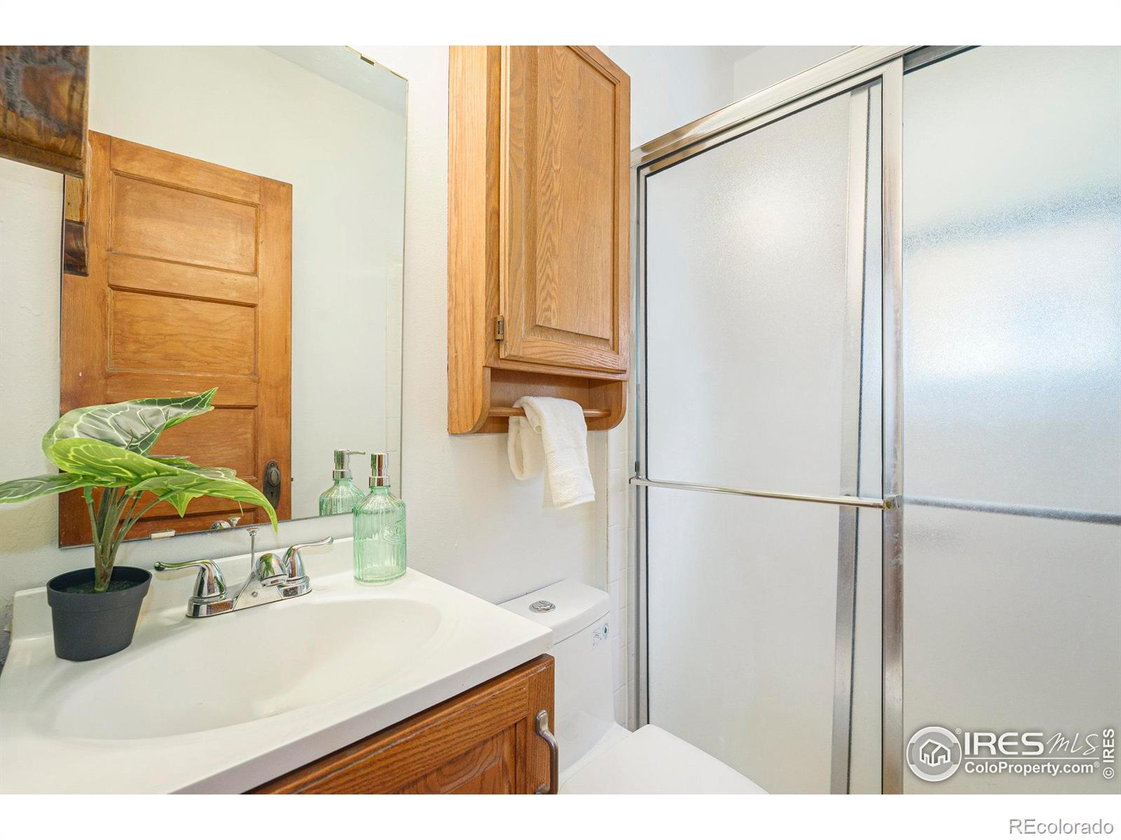 MLS Image #14 for 486 n corona street,denver, Colorado
