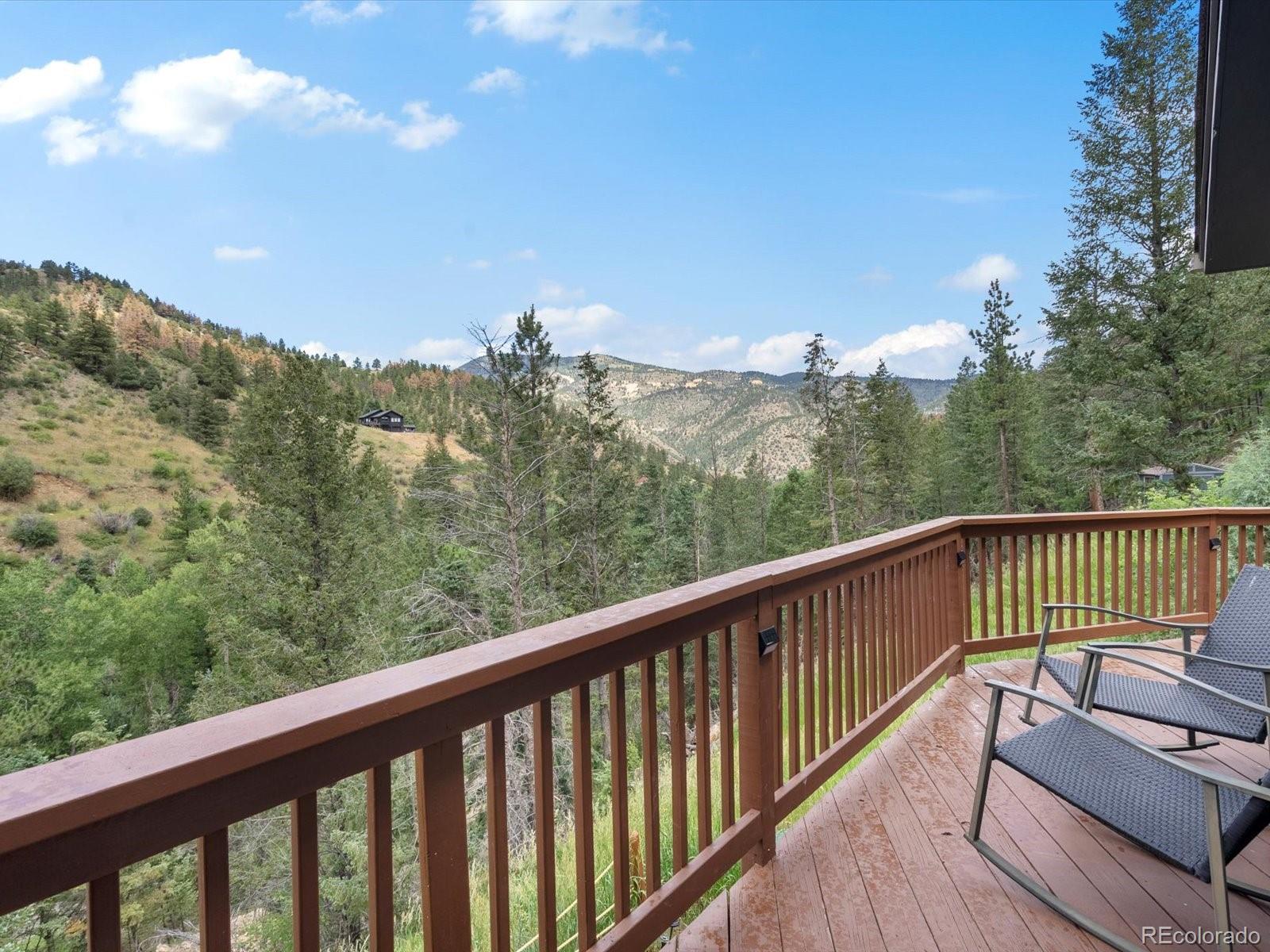 MLS Image #13 for 812  soda creek road,idaho springs, Colorado