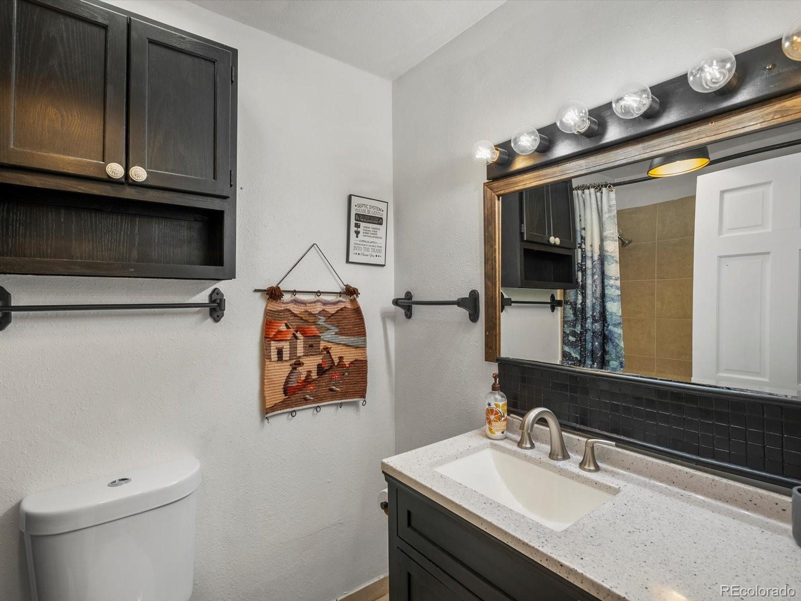 MLS Image #18 for 812  soda creek road,idaho springs, Colorado