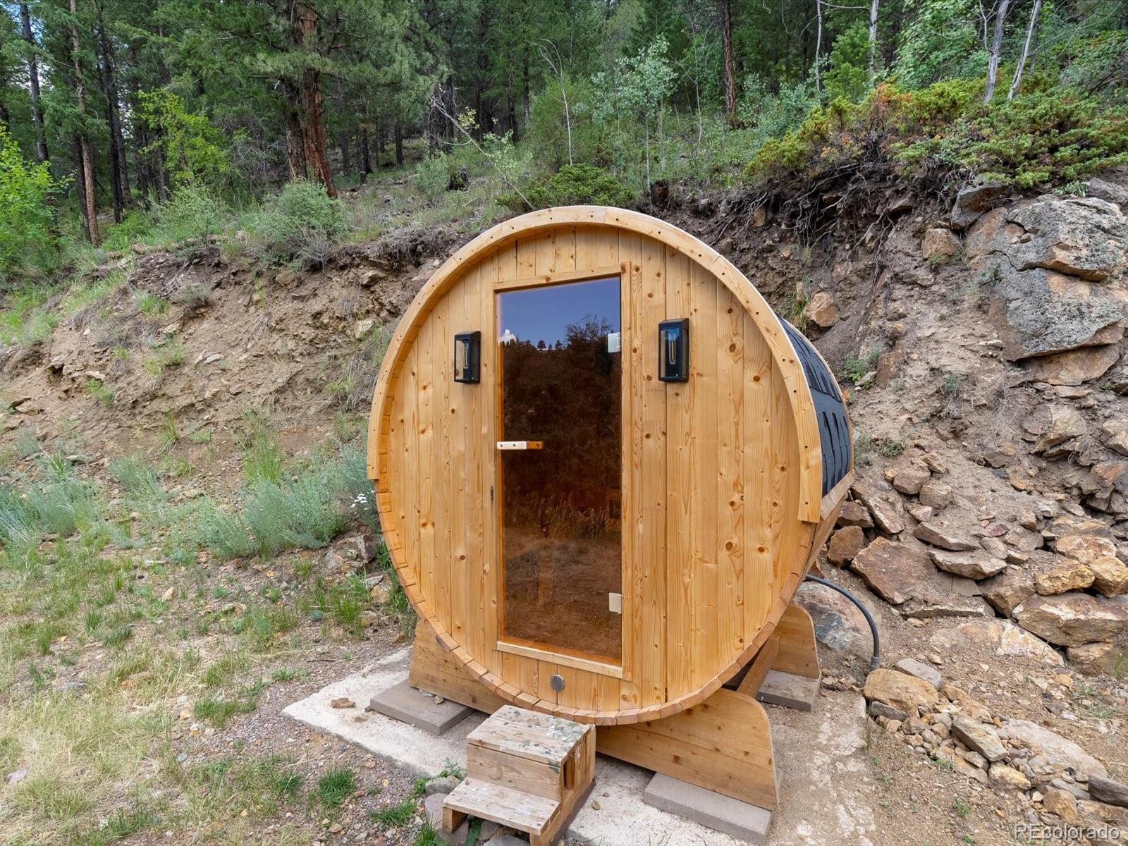 MLS Image #29 for 812  soda creek road,idaho springs, Colorado