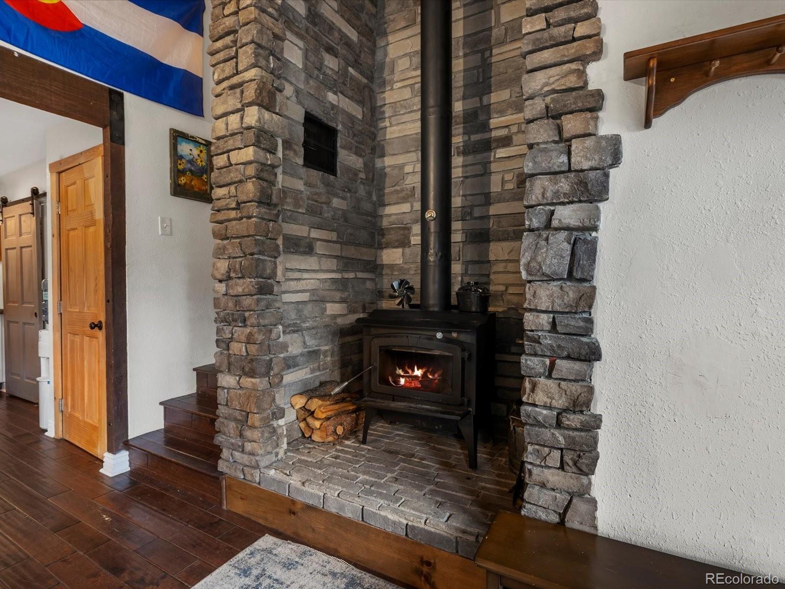 MLS Image #5 for 812  soda creek road,idaho springs, Colorado
