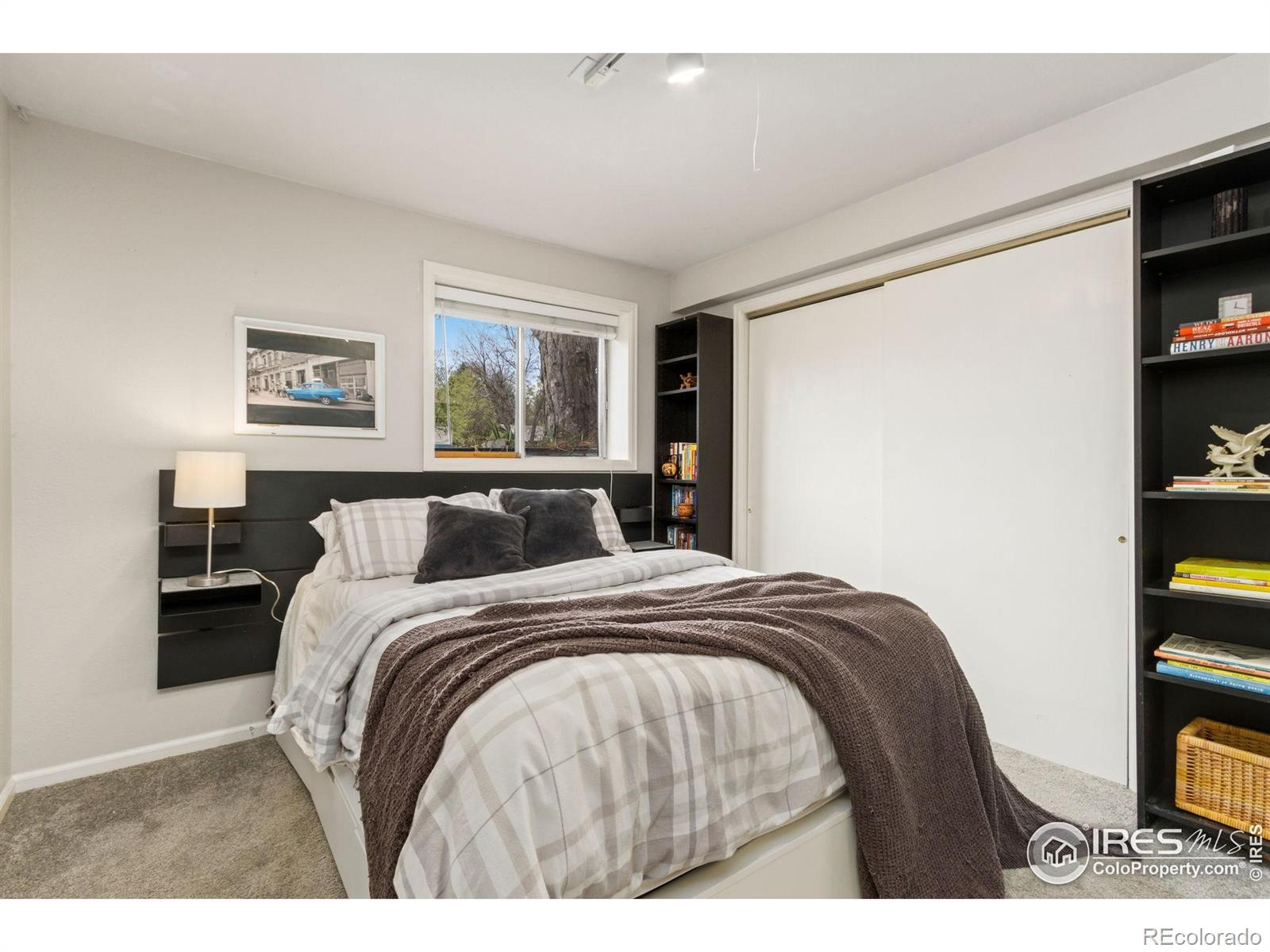 MLS Image #20 for 1331  centennial road,fort collins, Colorado