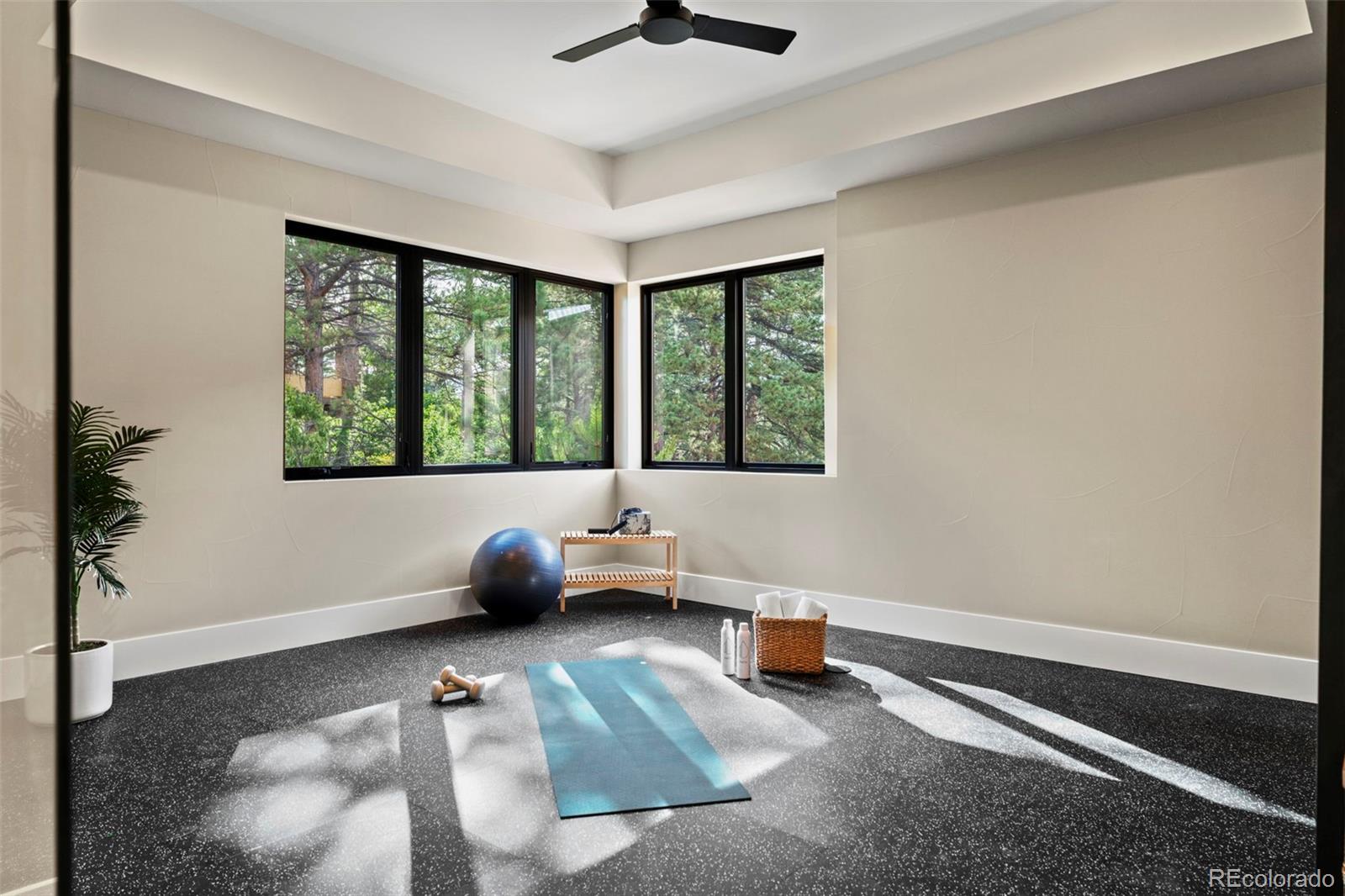 MLS Image #31 for 2596  saddleback drive,castle rock, Colorado