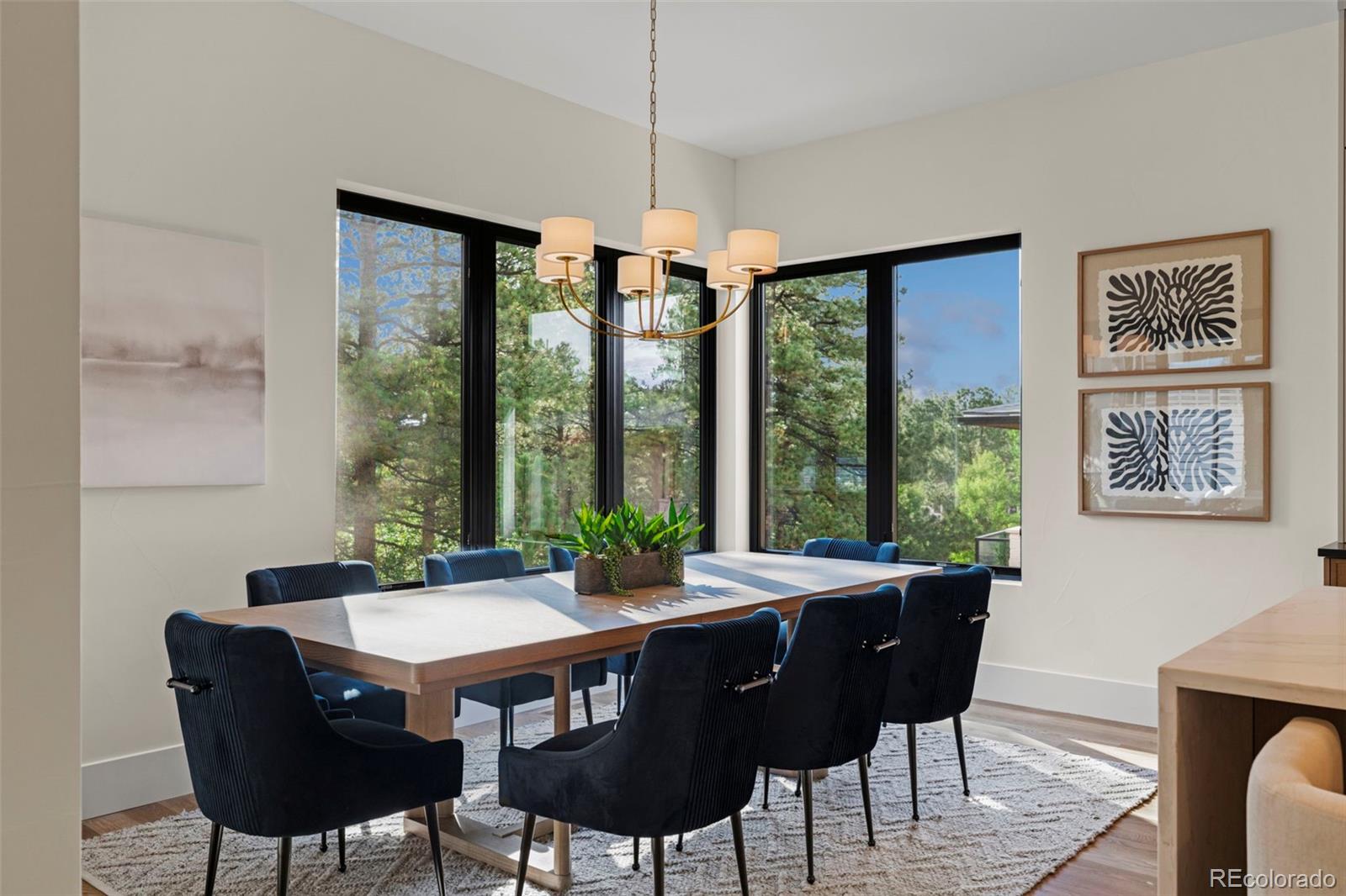 MLS Image #9 for 2596  saddleback drive,castle rock, Colorado