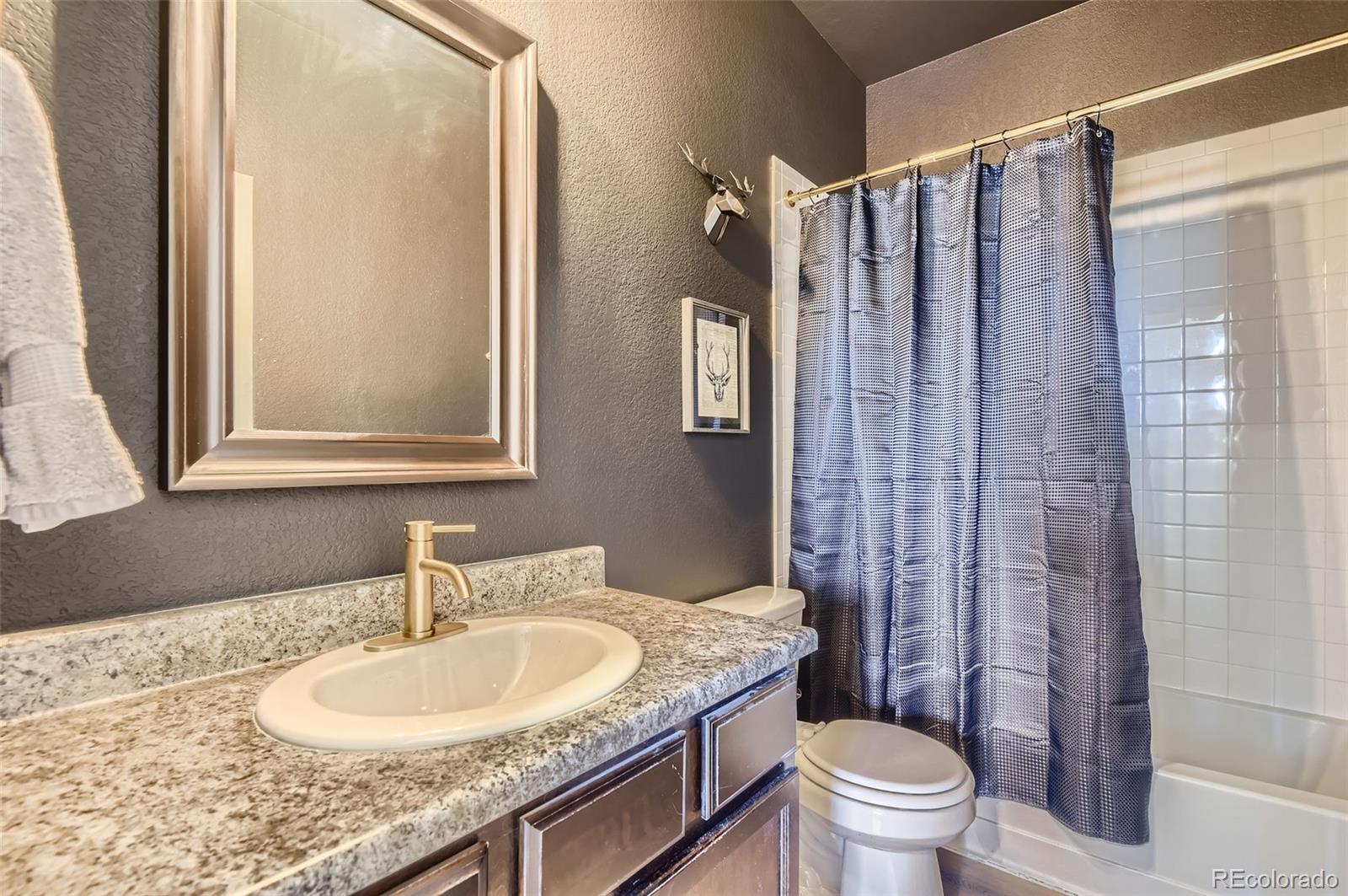 MLS Image #16 for 3323  youngheart way,castle rock, Colorado