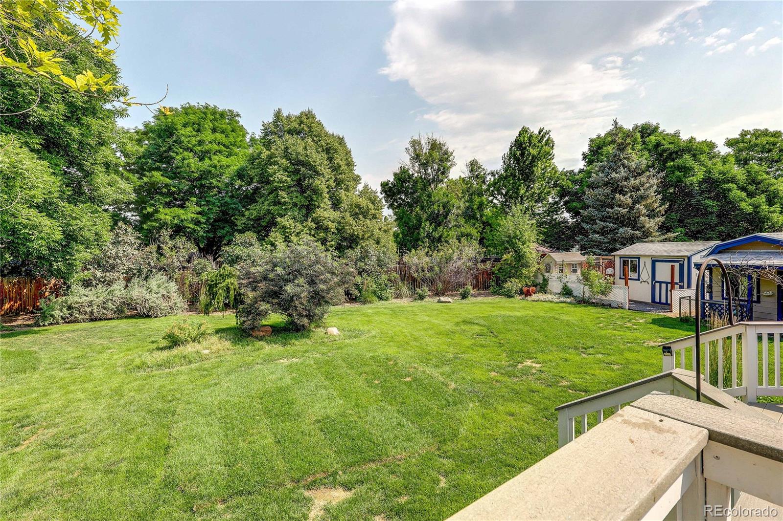 MLS Image #31 for 4241  fescue drive,loveland, Colorado