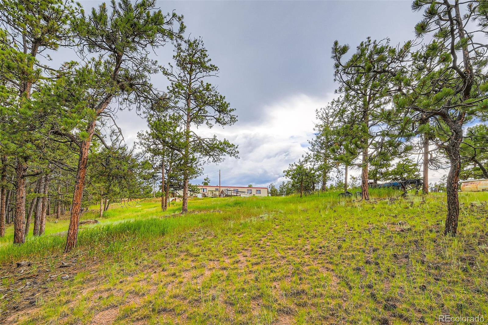 MLS Image #18 for 272  calle del sol ,florissant, Colorado