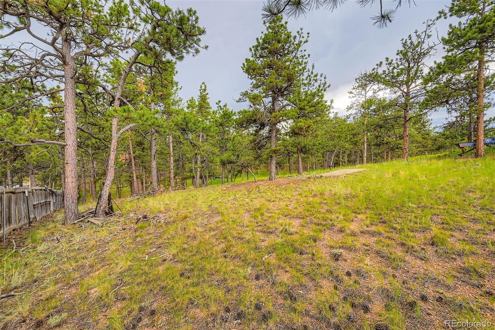 MLS Image #19 for 272  calle del sol ,florissant, Colorado