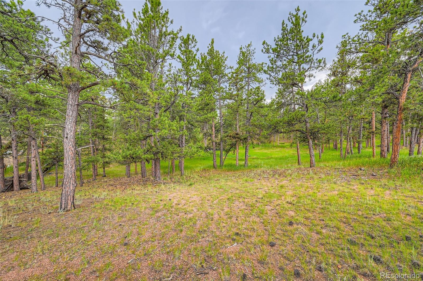 MLS Image #26 for 272  calle del sol ,florissant, Colorado