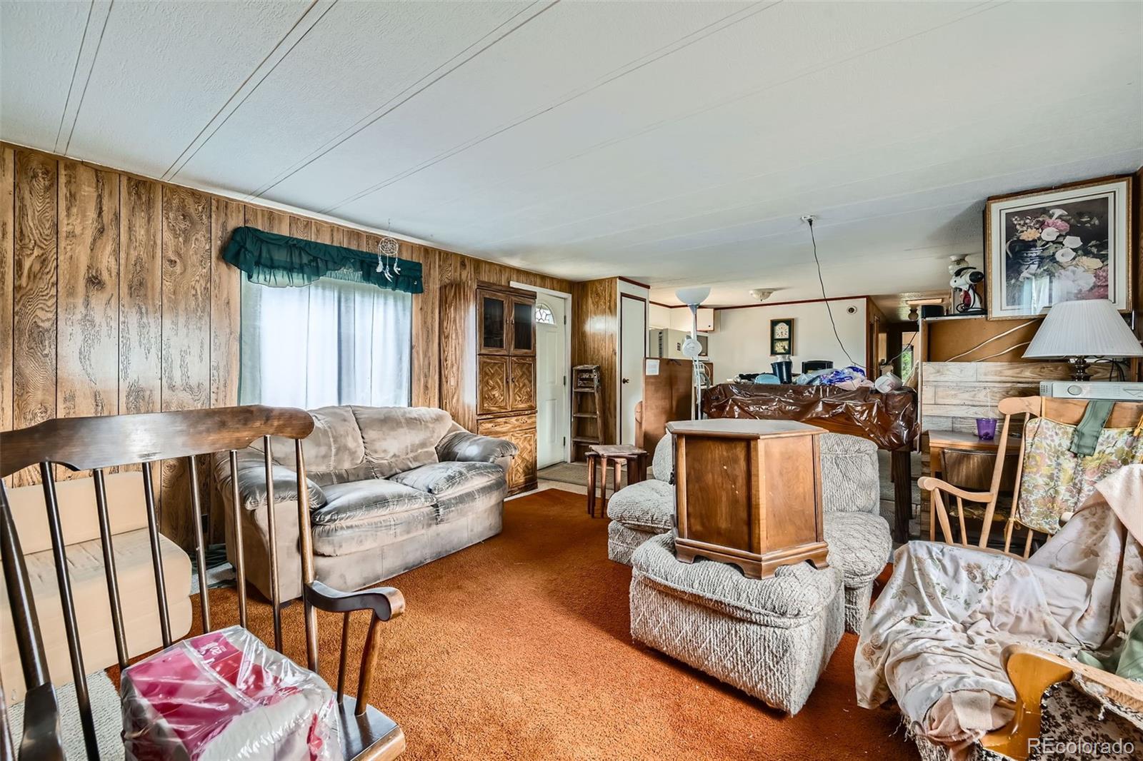 MLS Image #4 for 272  calle del sol ,florissant, Colorado