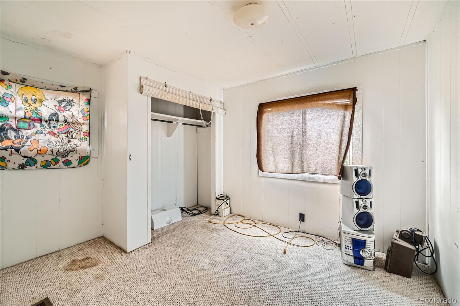 MLS Image #8 for 272  calle del sol ,florissant, Colorado