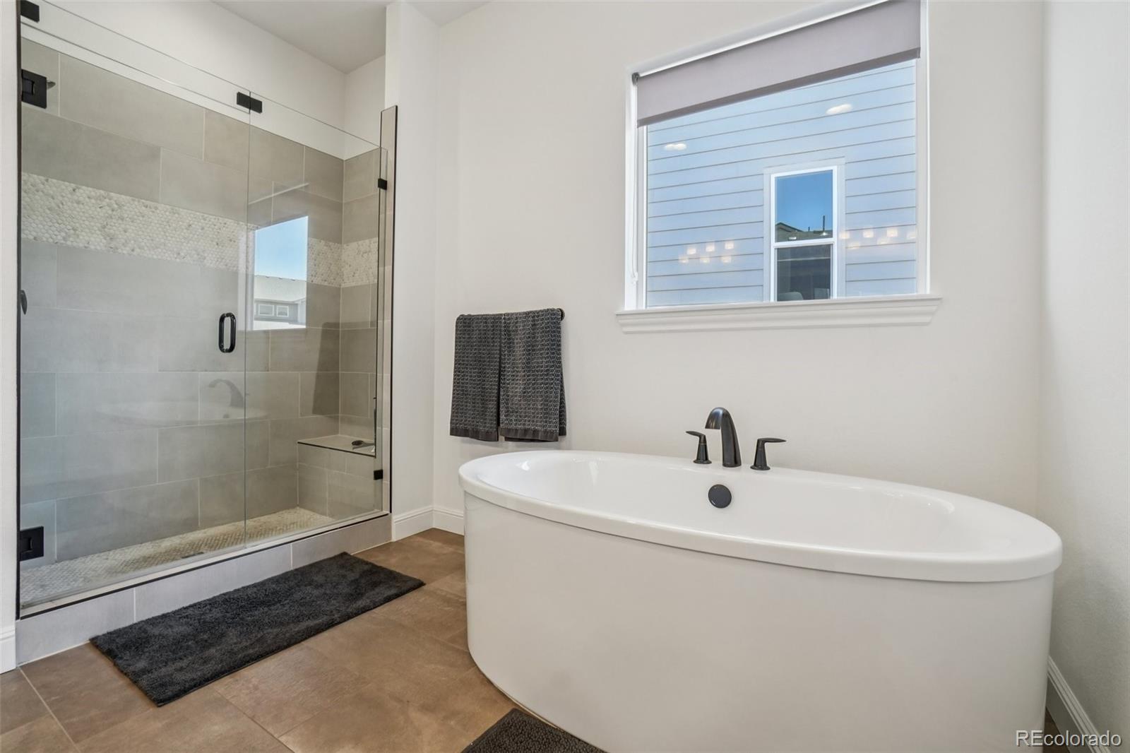 MLS Image #12 for 264  kitselman drive,castle rock, Colorado