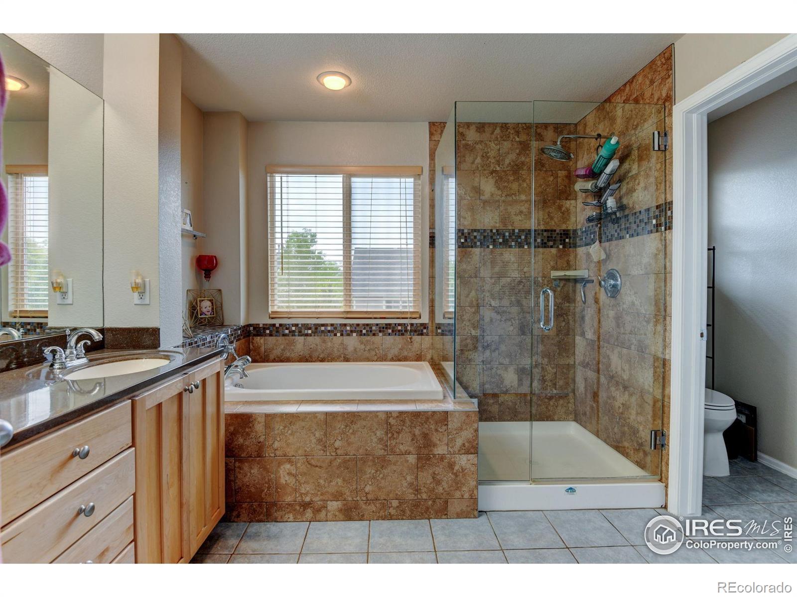 MLS Image #16 for 1995 e 166th avenue,thornton, Colorado