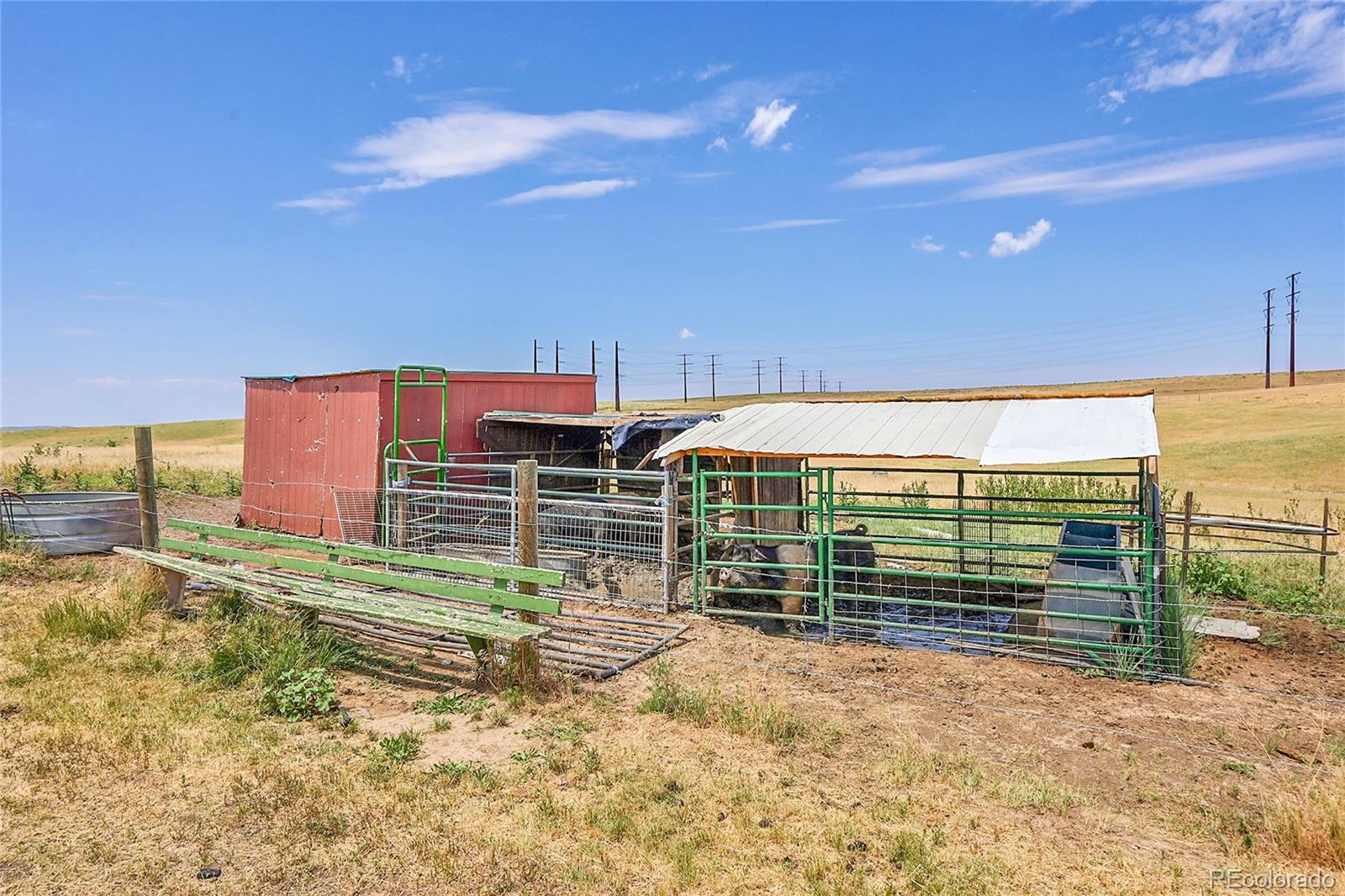 MLS Image #38 for 5225  tom bay place,bennett, Colorado