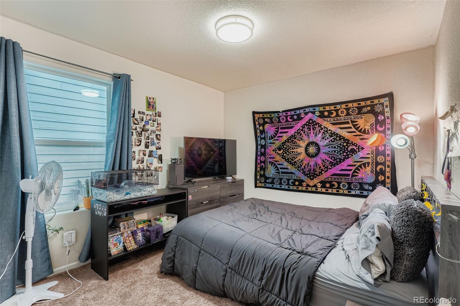 MLS Image #19 for 47385  lily avenue,bennett, Colorado