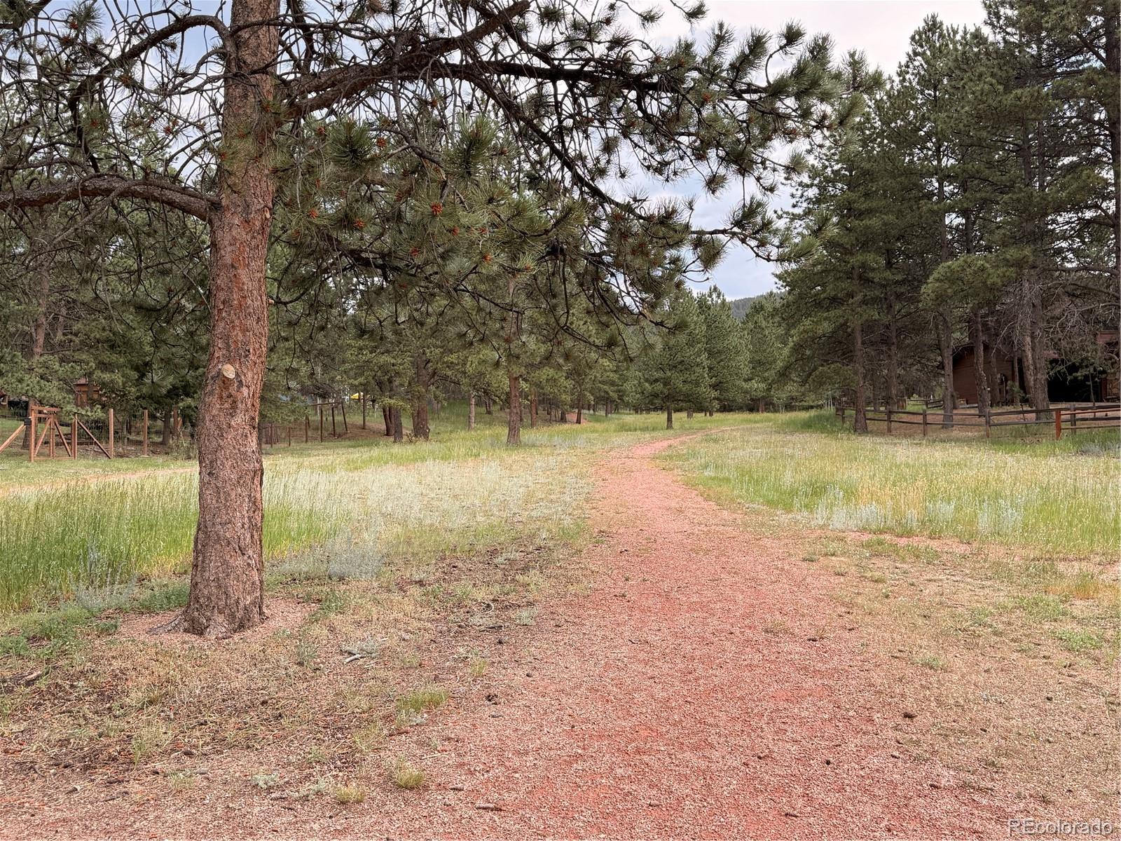 MLS Image #29 for 2020  valley view drive,woodland park, Colorado