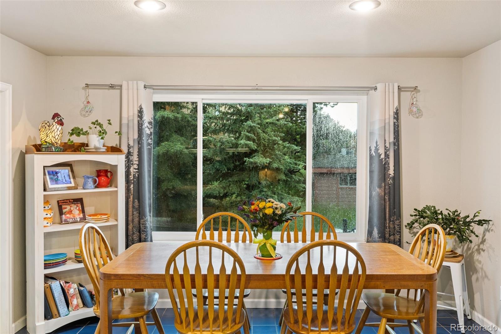 MLS Image #4 for 2020  valley view drive,woodland park, Colorado