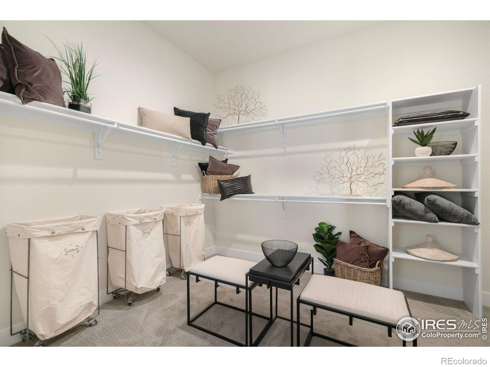 MLS Image #15 for 3631 n buchanan court,aurora, Colorado