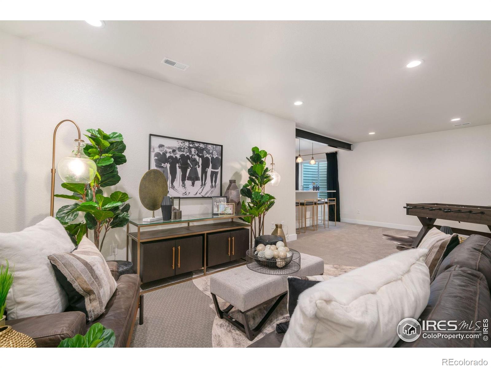 MLS Image #19 for 3631 n buchanan court,aurora, Colorado