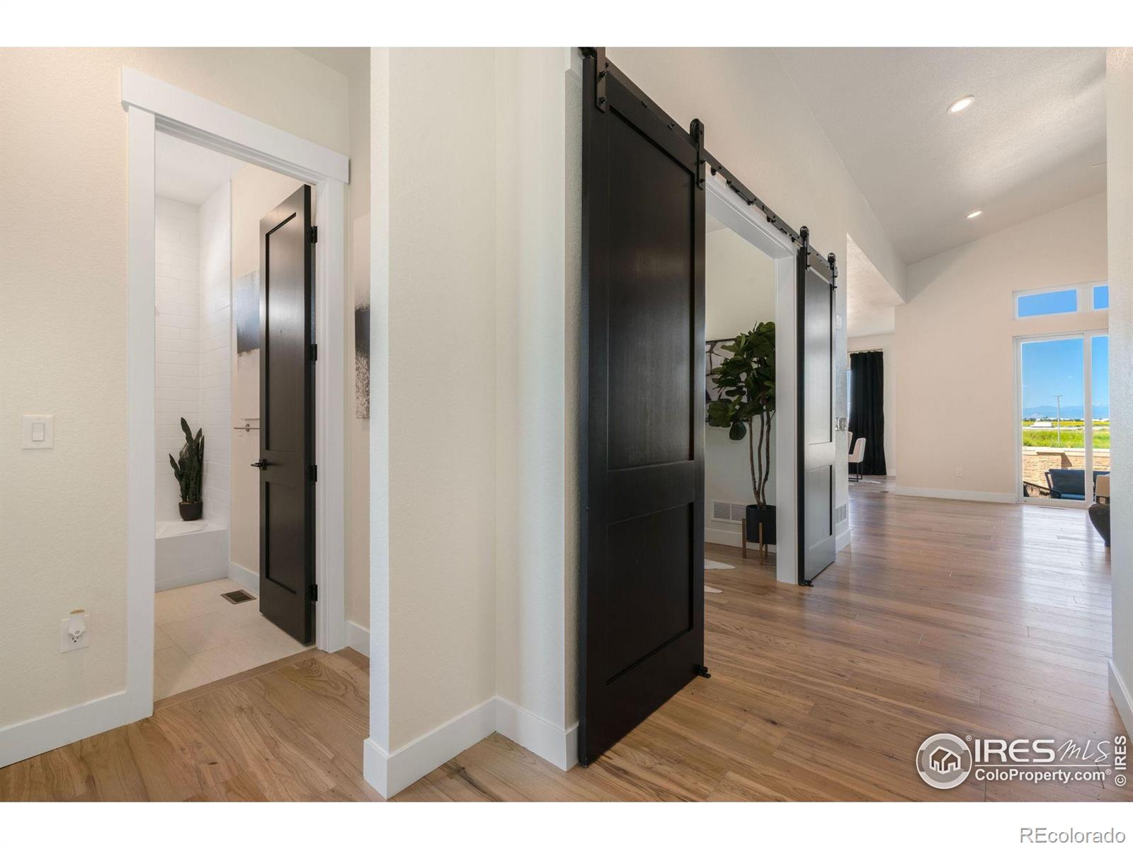 MLS Image #9 for 3631 n buchanan court,aurora, Colorado