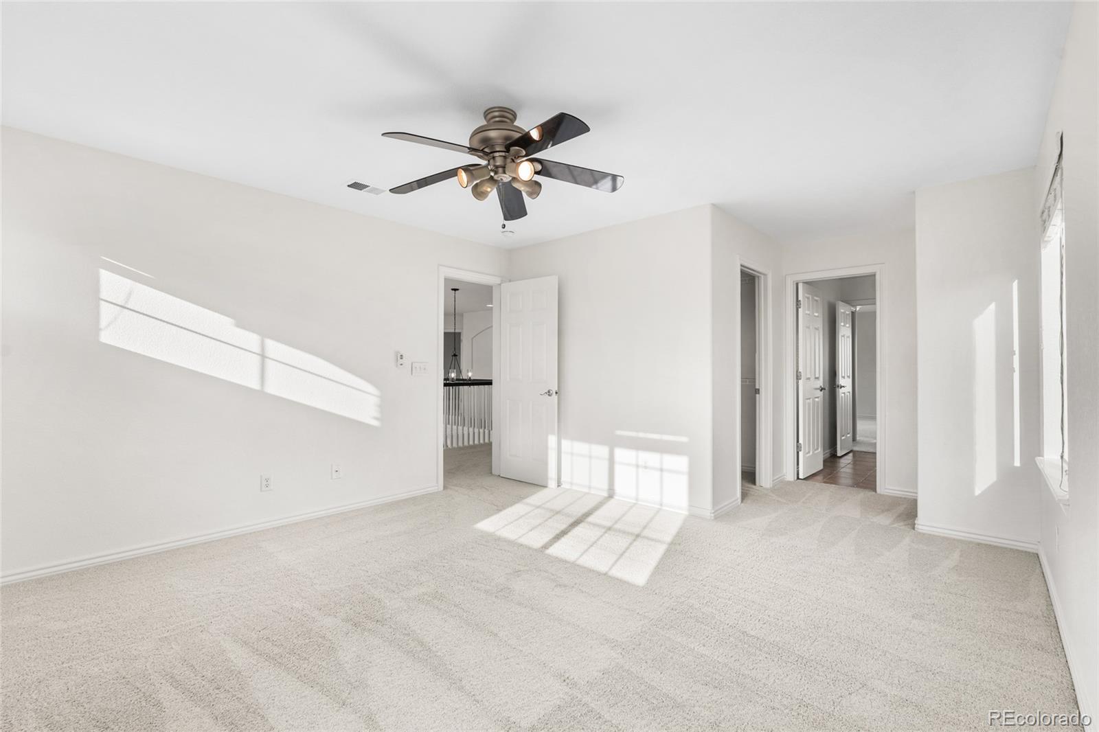MLS Image #29 for 1198  baguette drive,castle rock, Colorado