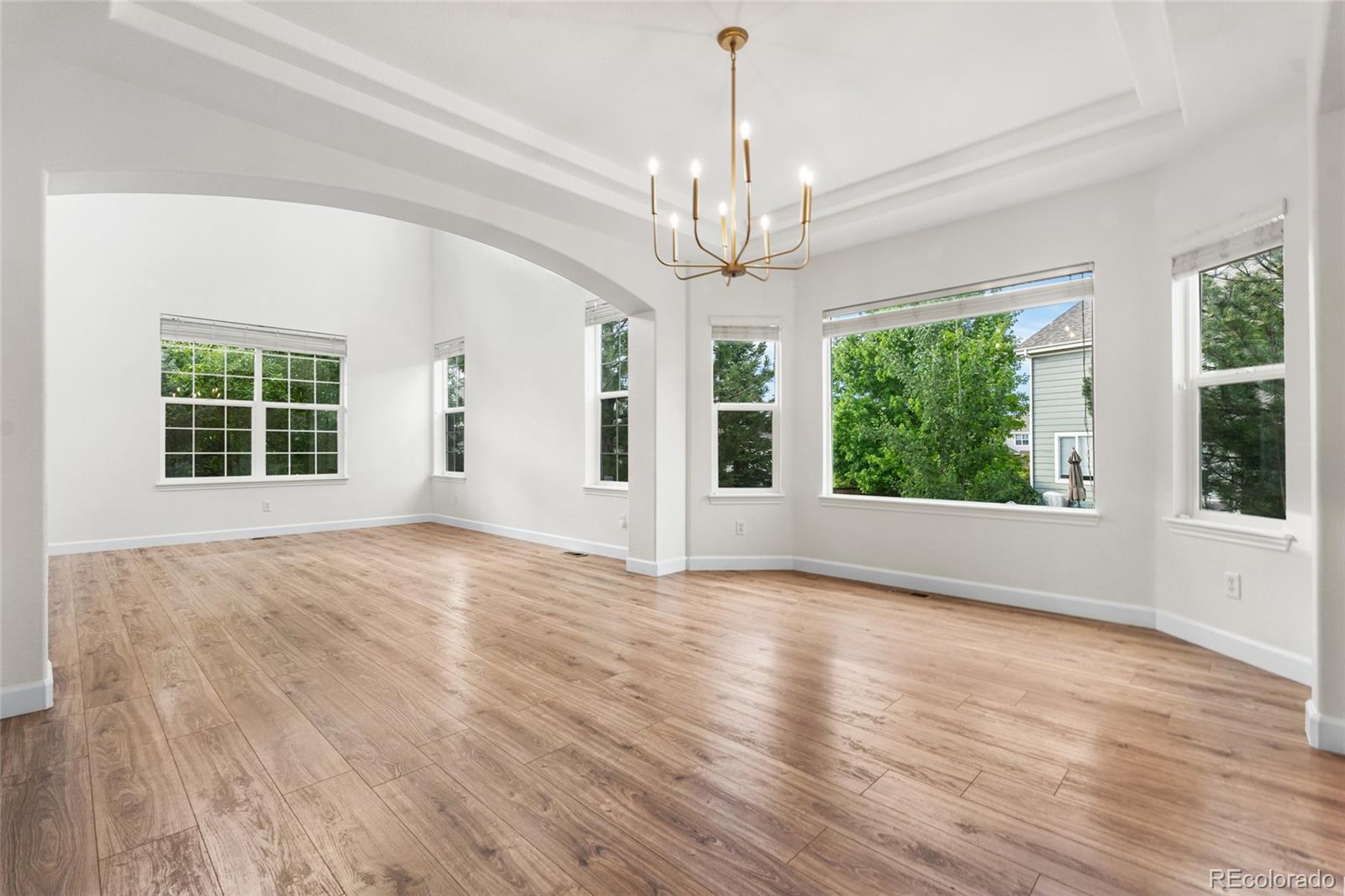 MLS Image #4 for 1198  baguette drive,castle rock, Colorado