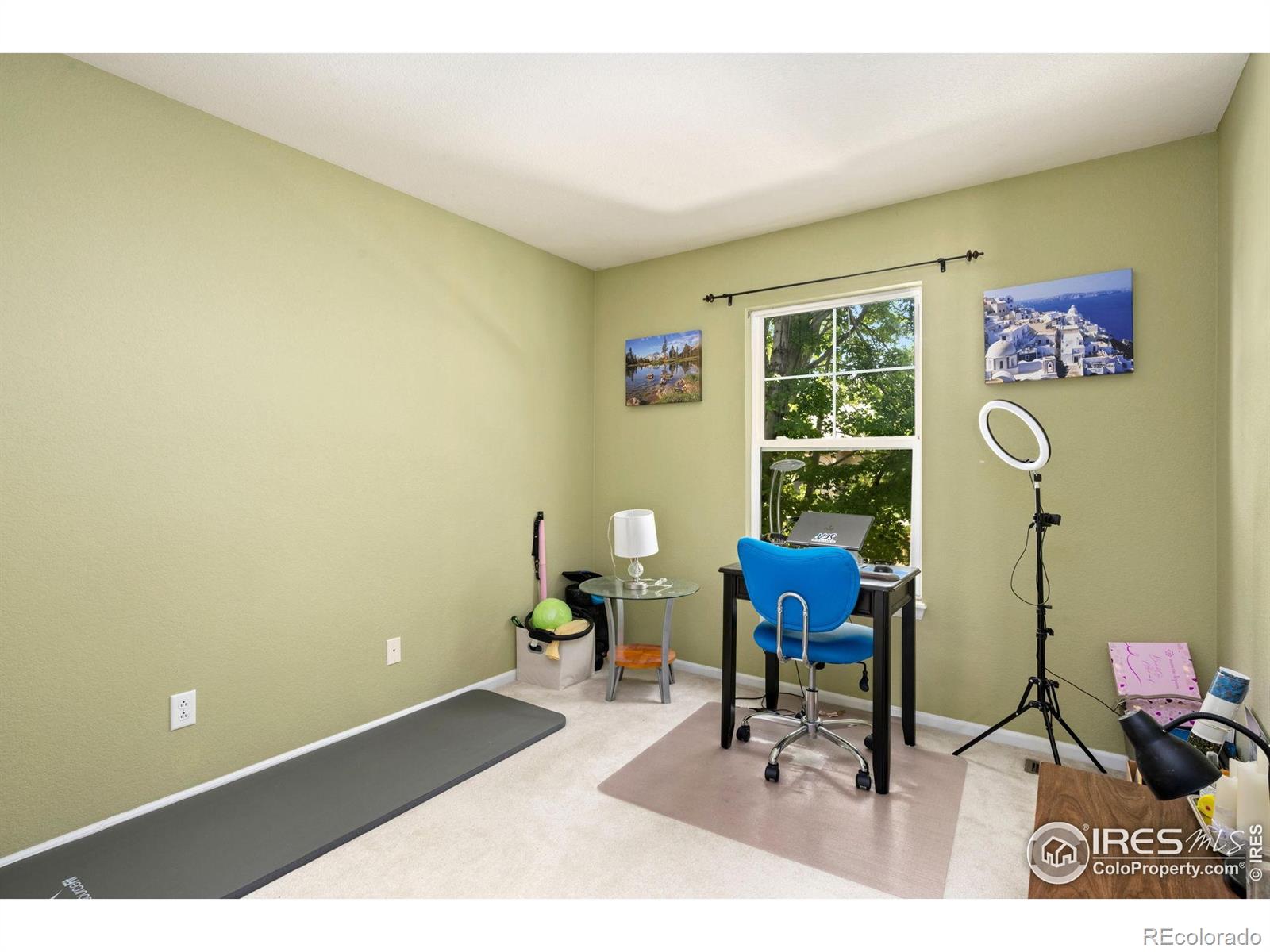 MLS Image #17 for 5234  cornerstone drive,fort collins, Colorado