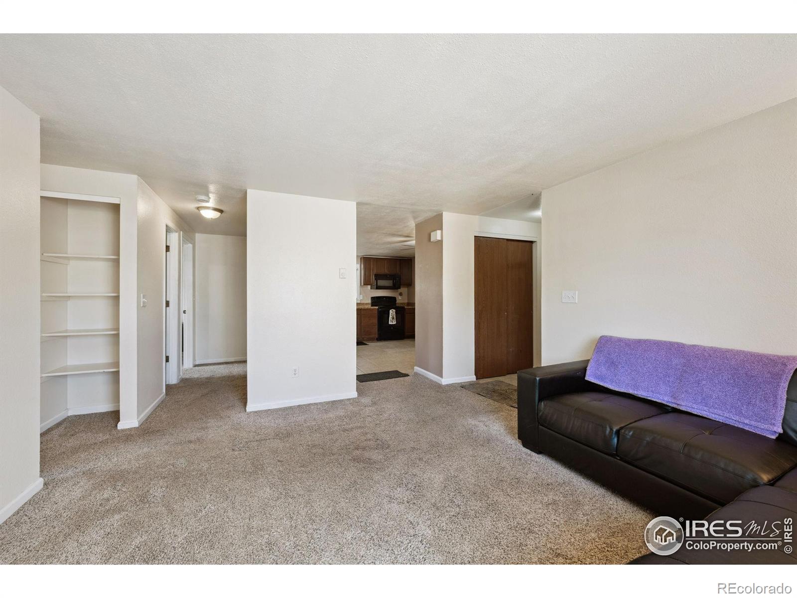 MLS Image #10 for 132 w 47th place,loveland, Colorado