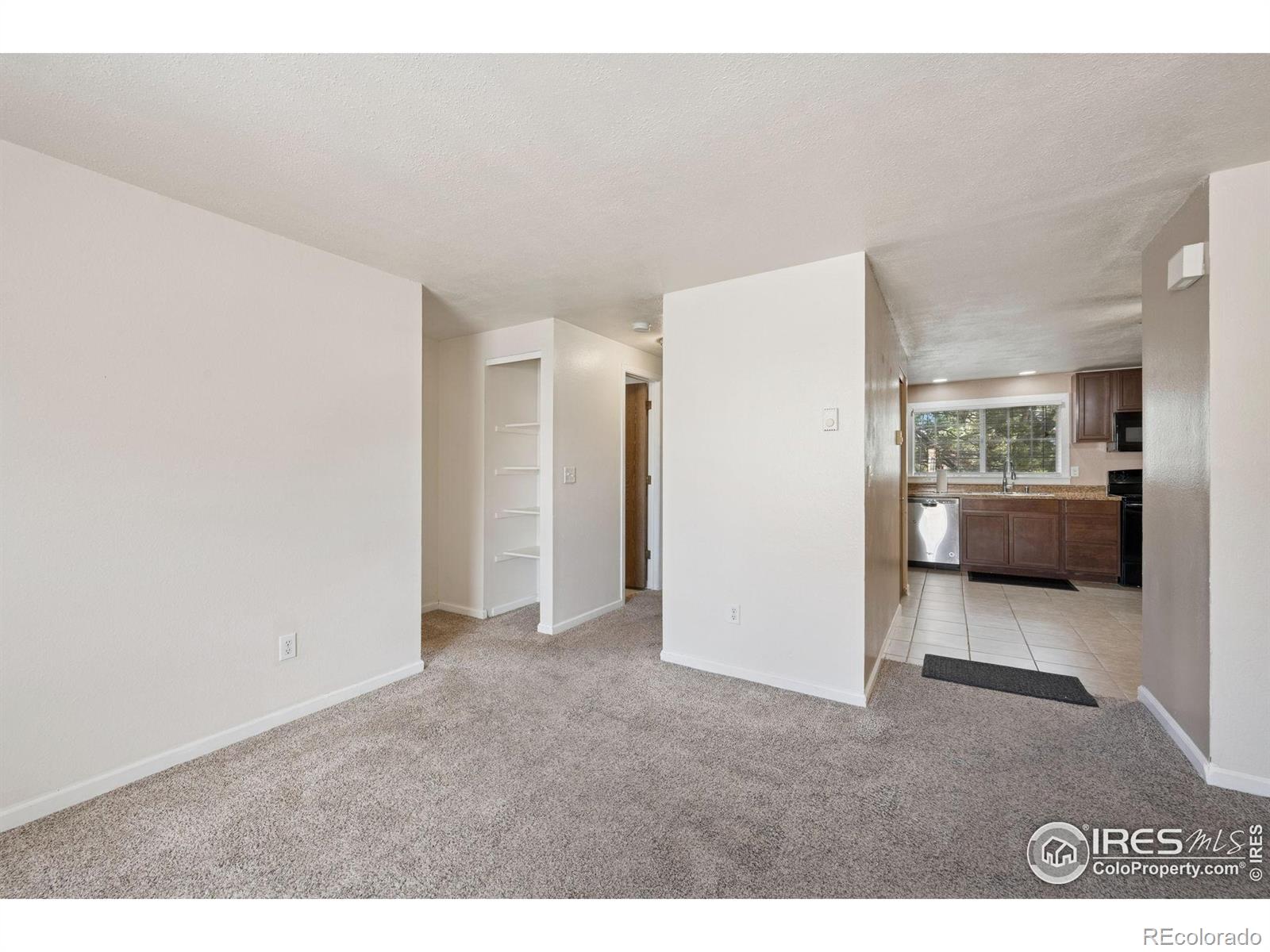 MLS Image #11 for 132 w 47th place,loveland, Colorado