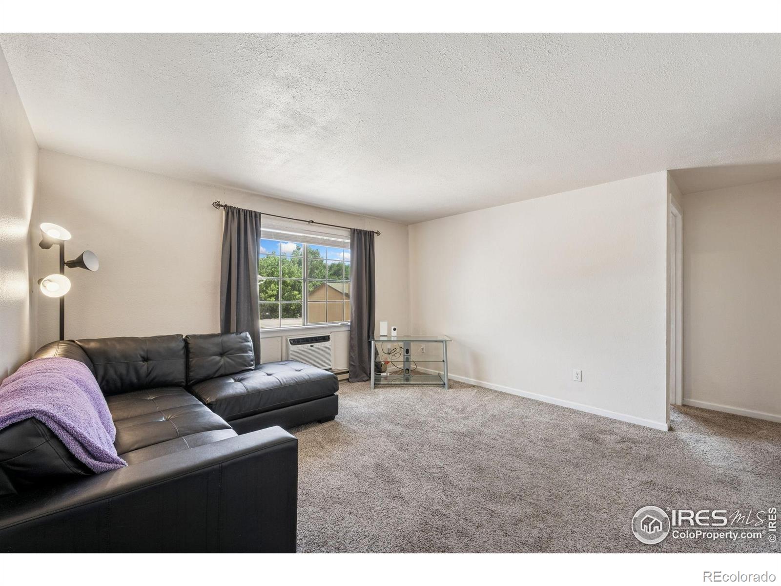 MLS Image #6 for 132 w 47th place,loveland, Colorado