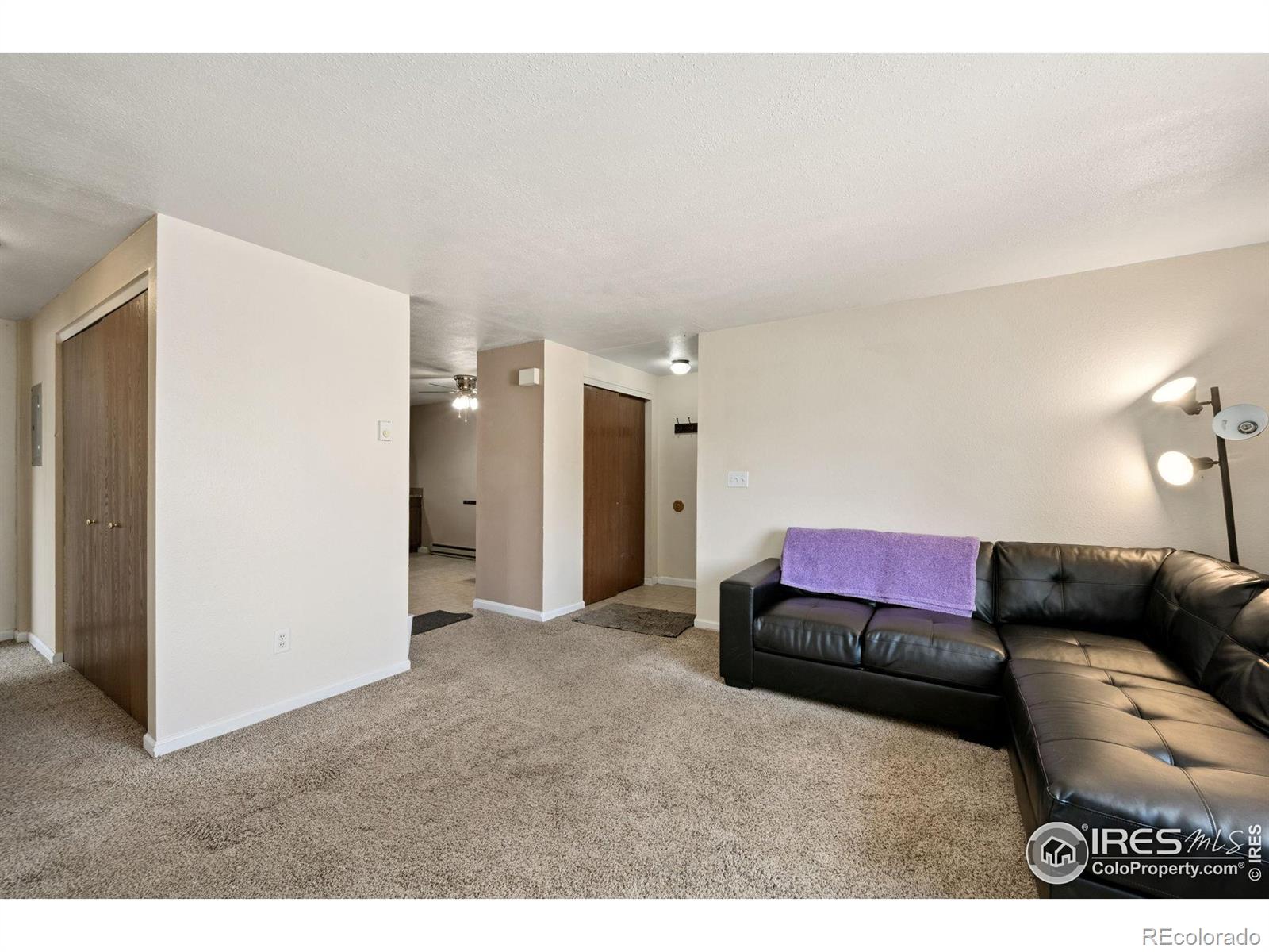 MLS Image #9 for 132 w 47th place,loveland, Colorado