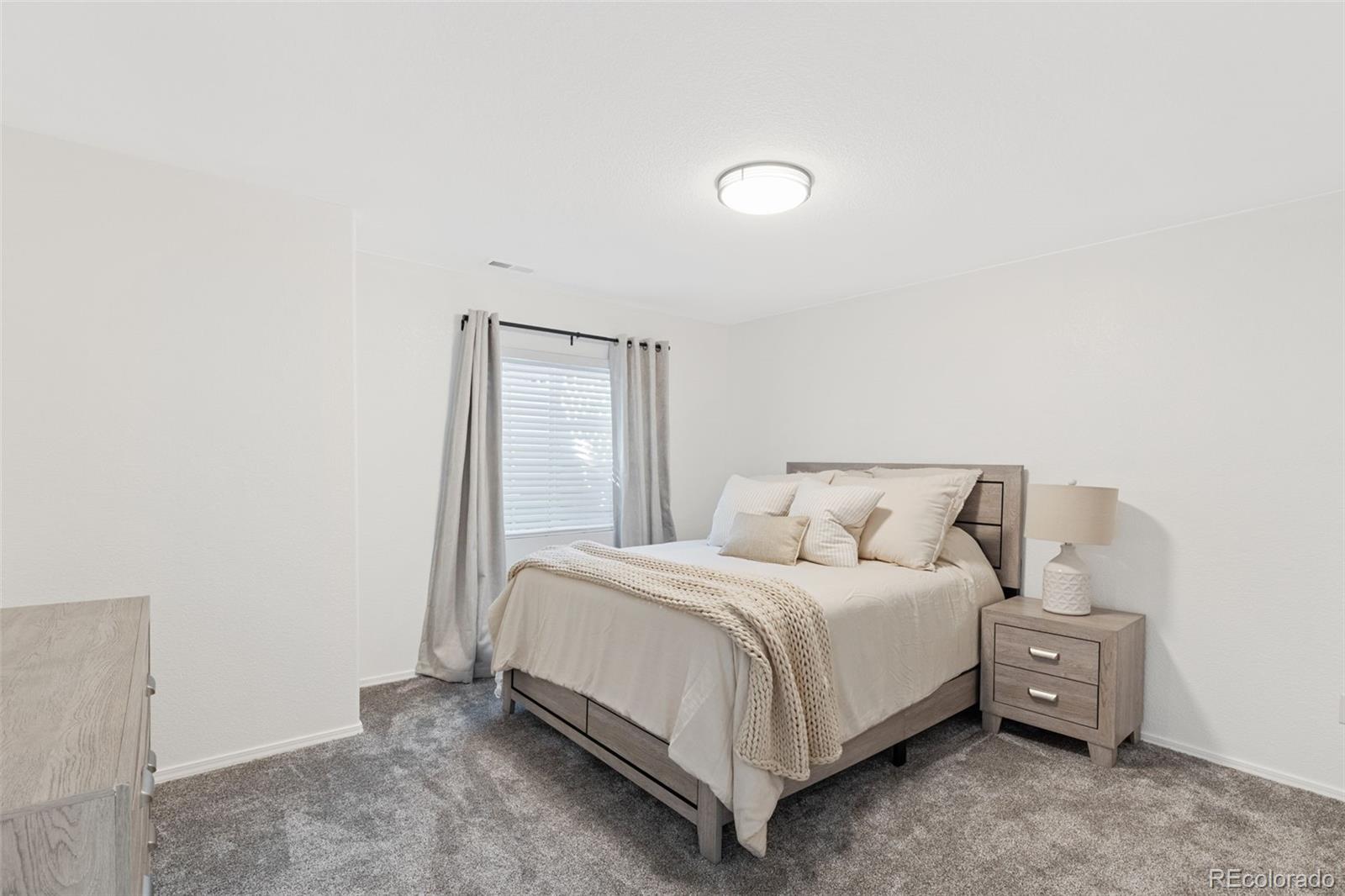 MLS Image #11 for 5001  barnstormers avenue,colorado springs, Colorado