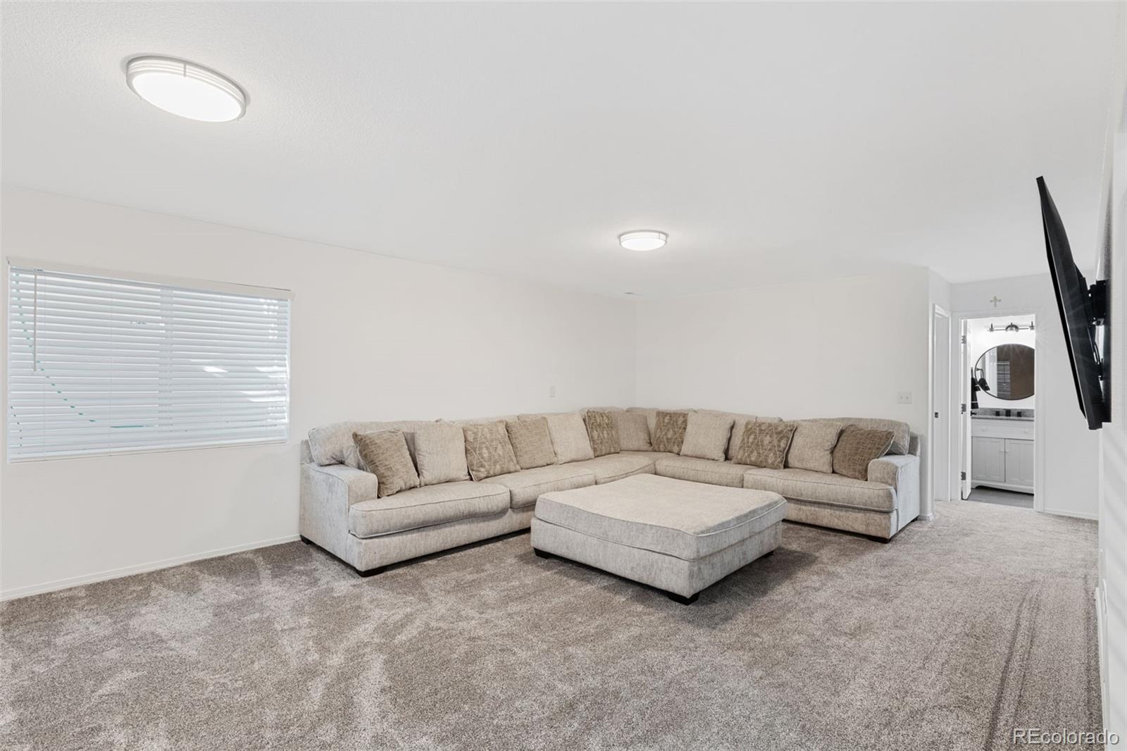 MLS Image #20 for 5001  barnstormers avenue,colorado springs, Colorado