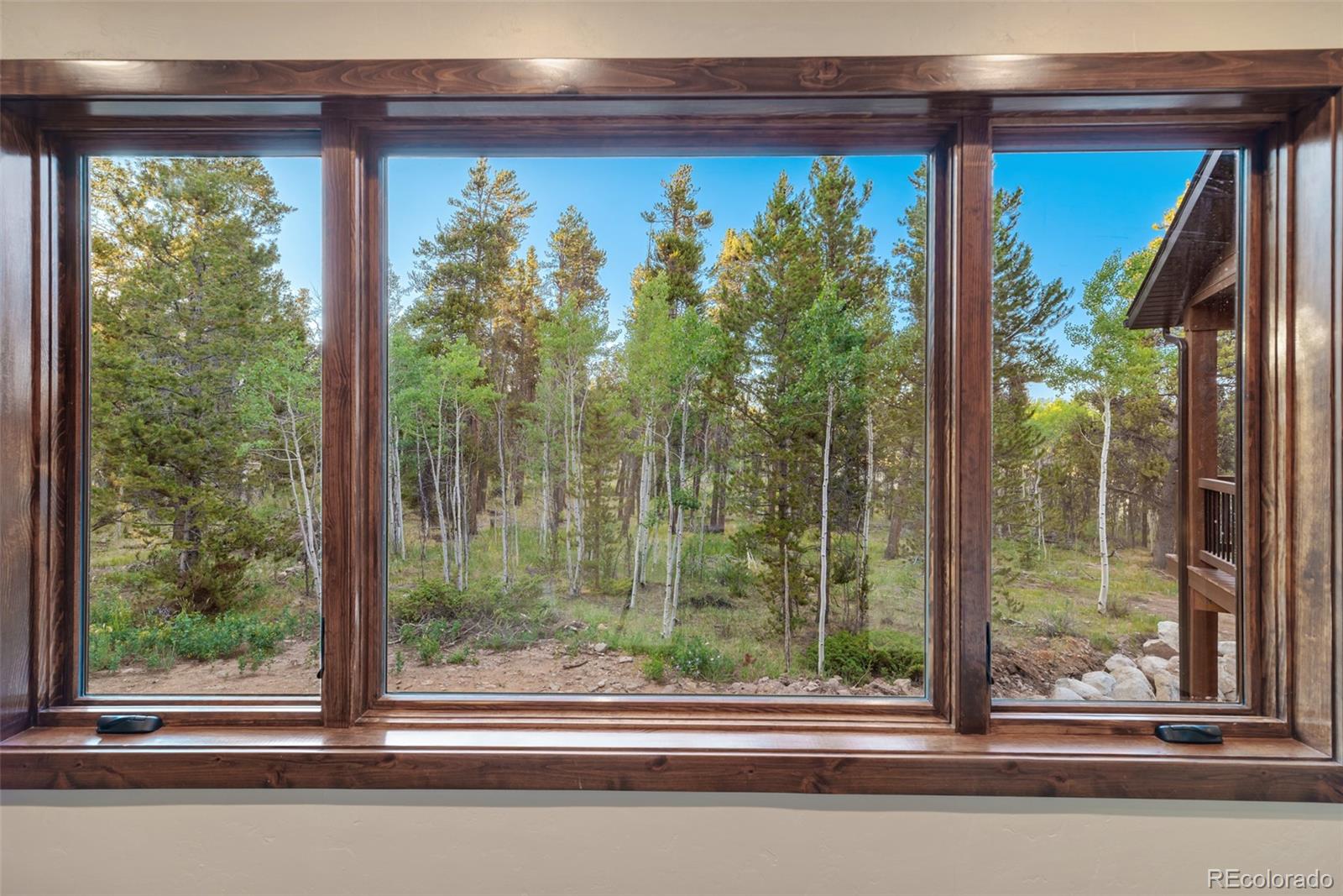 MLS Image #20 for 211  foxtail court,fairplay, Colorado