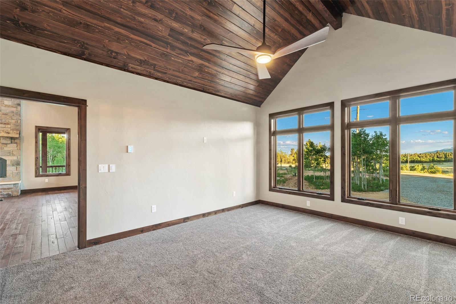 MLS Image #22 for 211  foxtail court,fairplay, Colorado