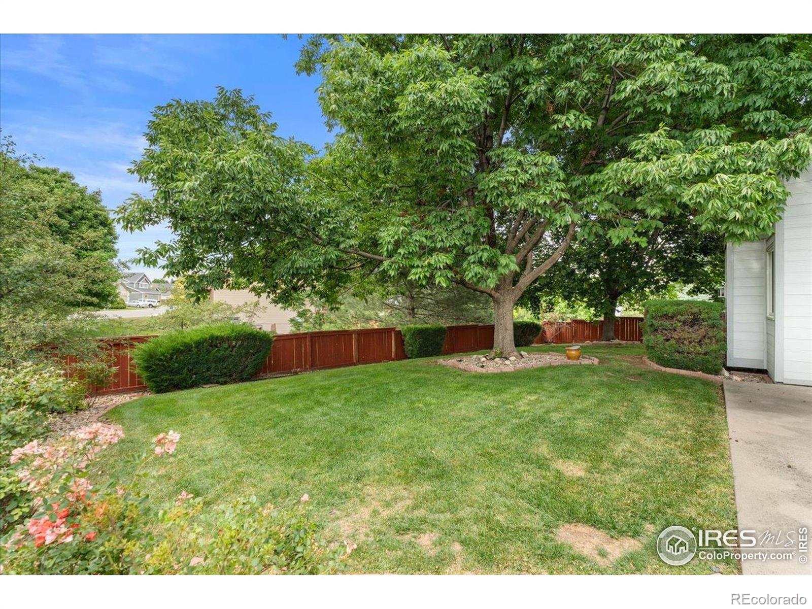 MLS Image #31 for 1938  silvergate road,fort collins, Colorado