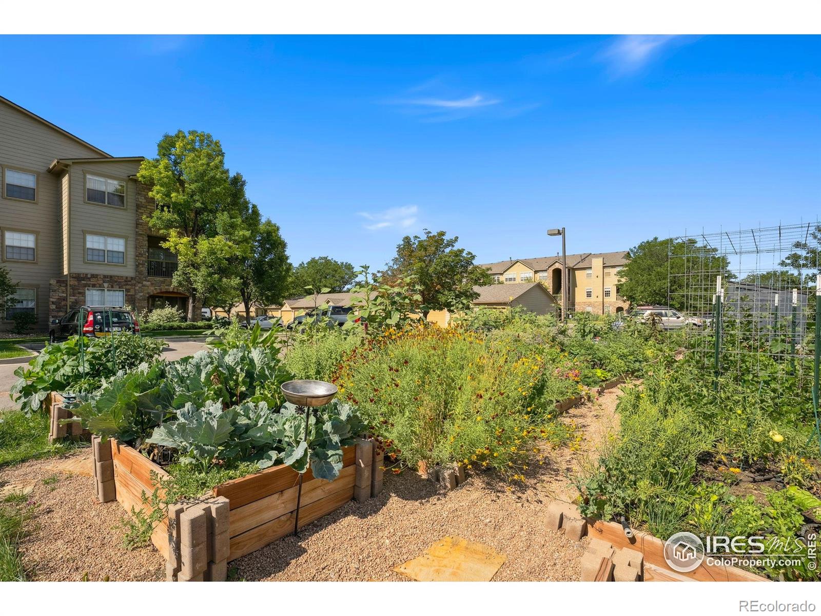 MLS Image #21 for 5620  fossil creek parkway,fort collins, Colorado