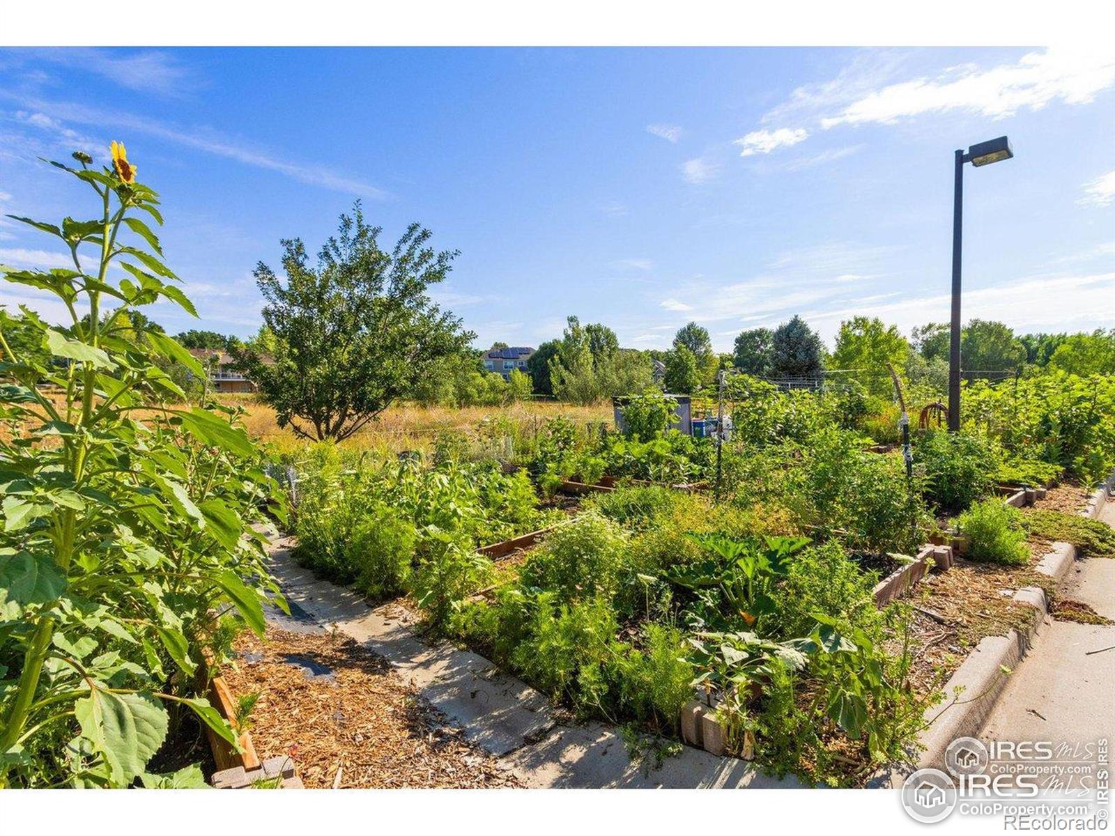 MLS Image #22 for 5620  fossil creek parkway,fort collins, Colorado