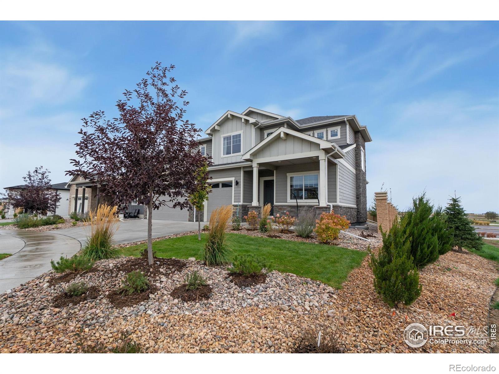 MLS Image #3 for 3691 n buchanan court,aurora, Colorado