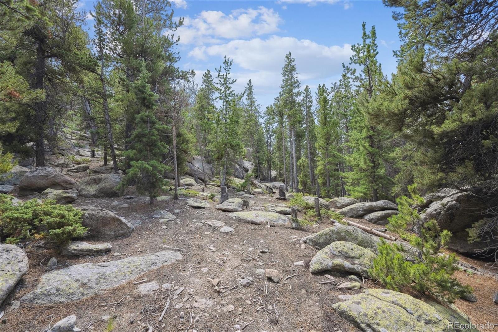 MLS Image #37 for 174  aspen meadow lane,golden, Colorado