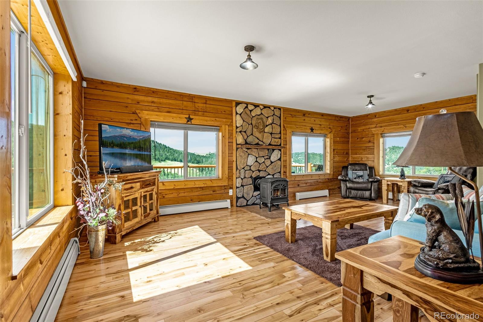 MLS Image #3 for 1298  copper mountain drive,cripple creek, Colorado