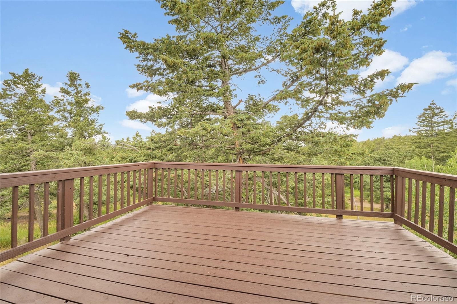 MLS Image #23 for 8919  hillview road,morrison, Colorado