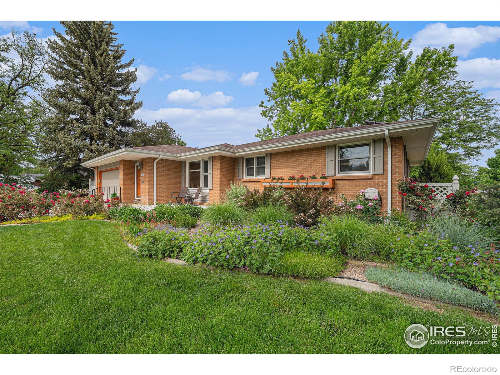 MLS Image #3 for 1920  sequoia street,fort collins, Colorado