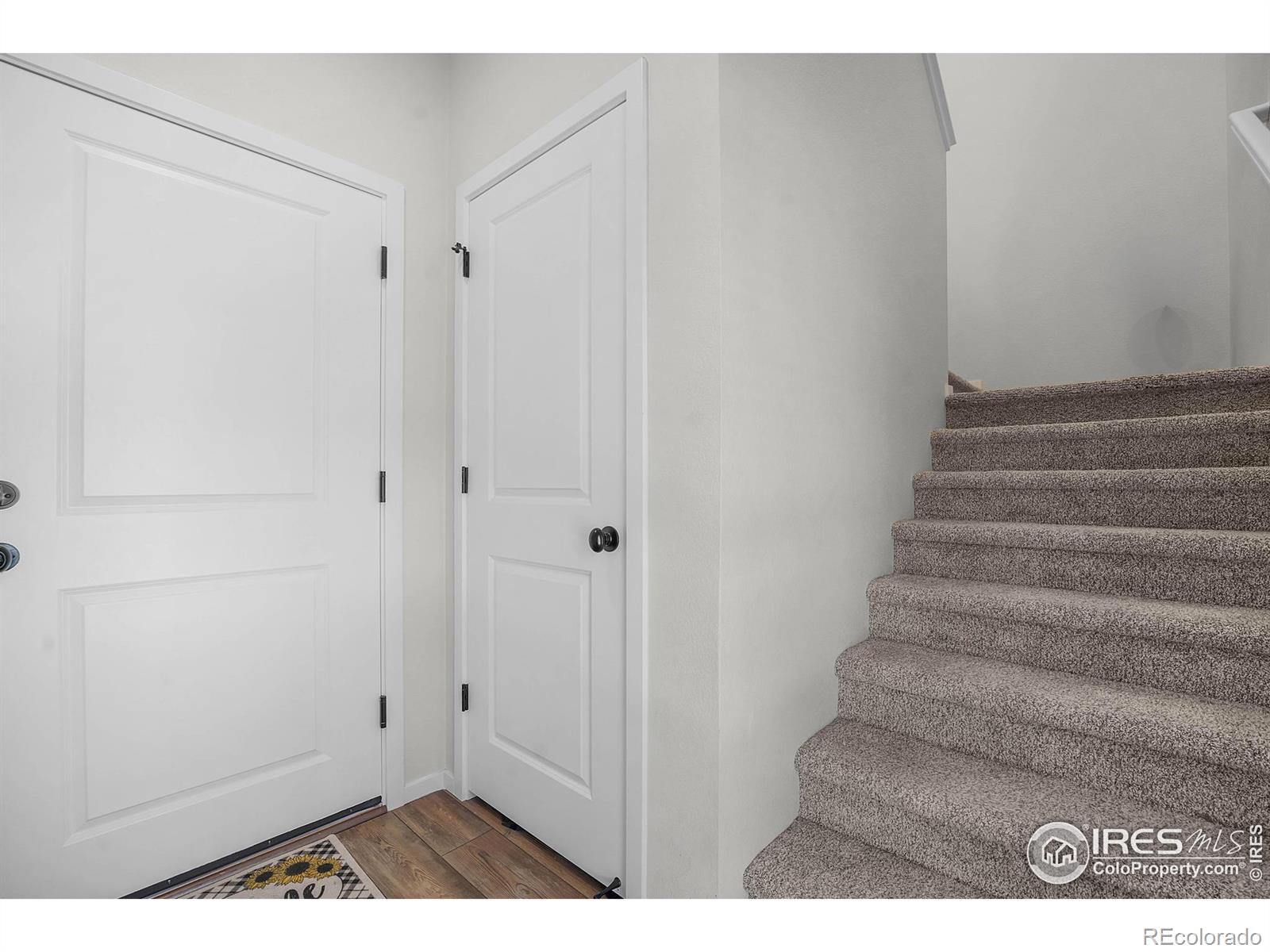 MLS Image #2 for 2614  conquest street,fort collins, Colorado