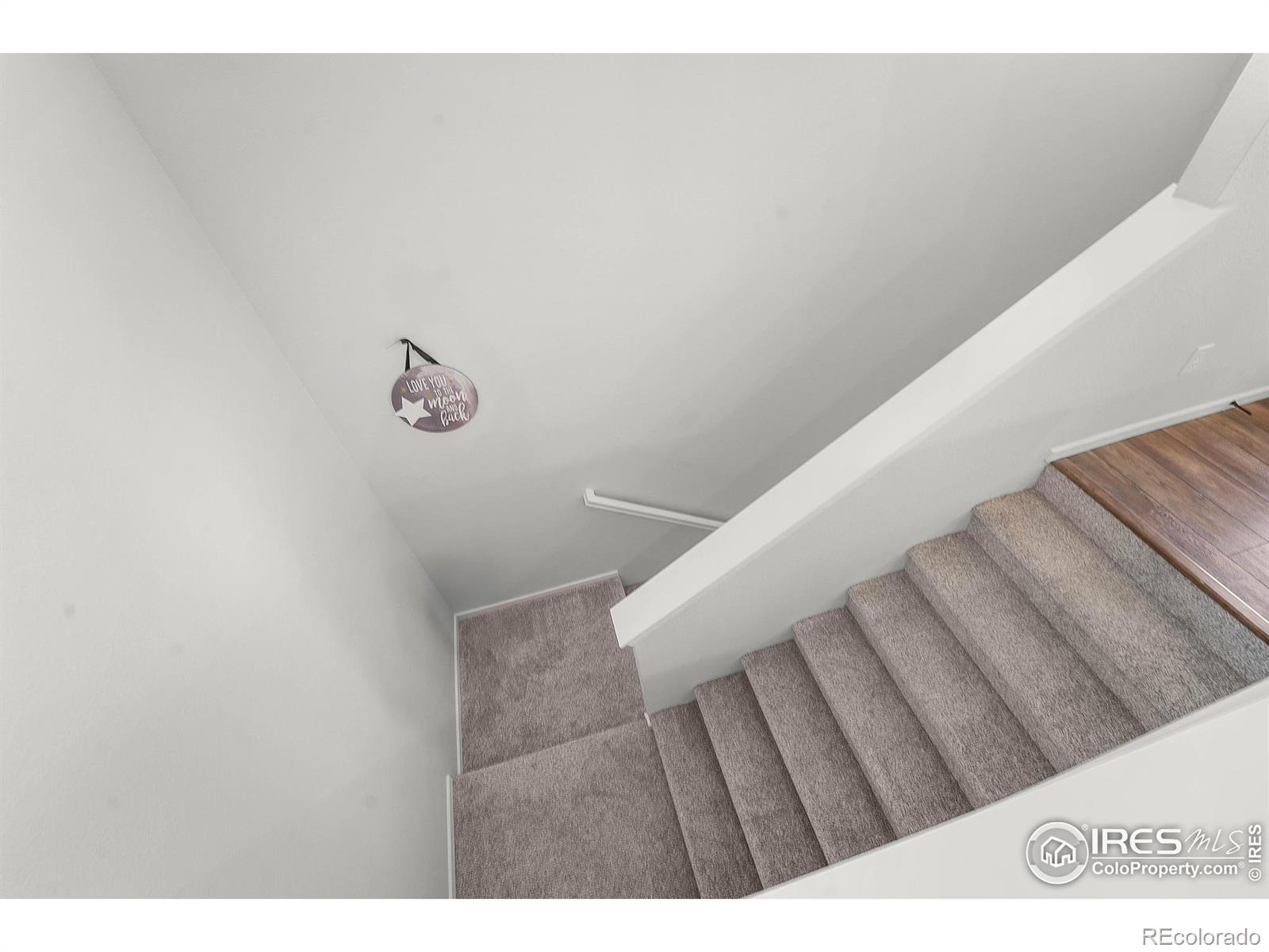 MLS Image #3 for 2614  conquest street,fort collins, Colorado